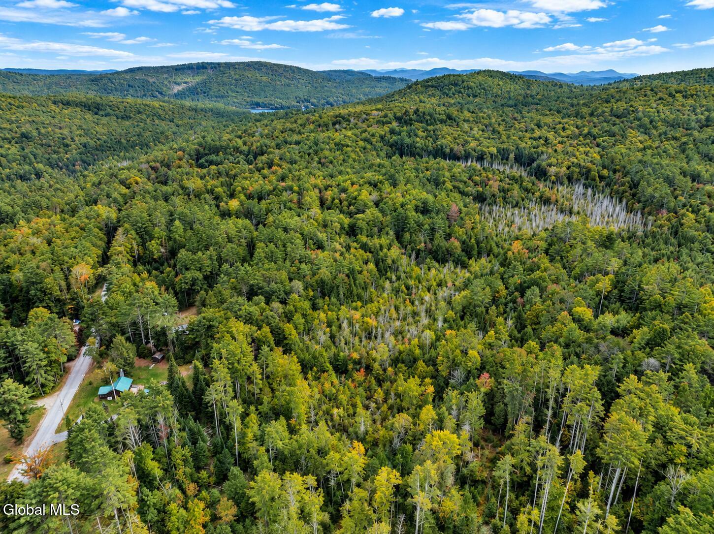 343 Shaw Hill Road Adirondack NY 12808