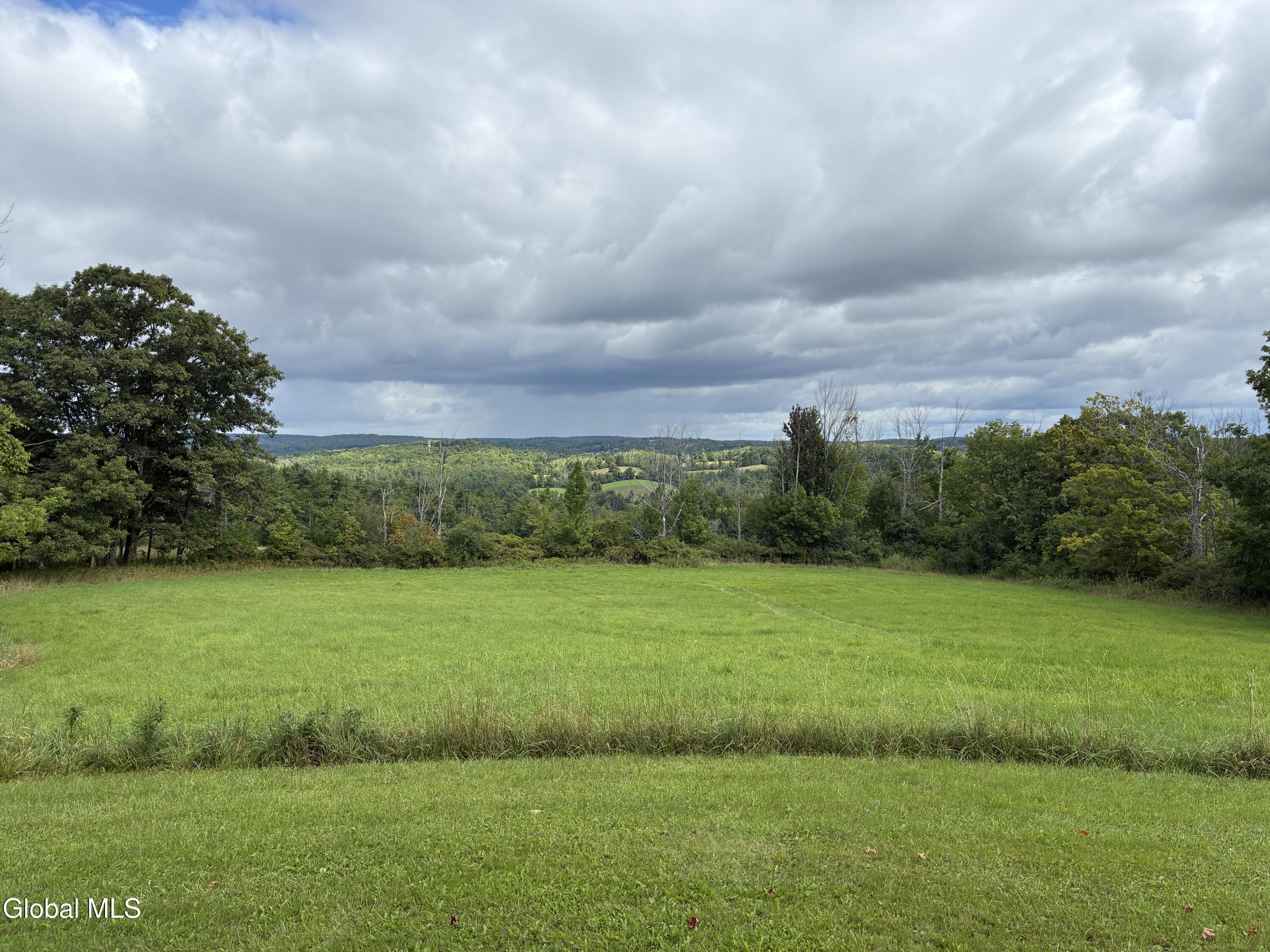28 Overlook Lane East Berne NY 12059