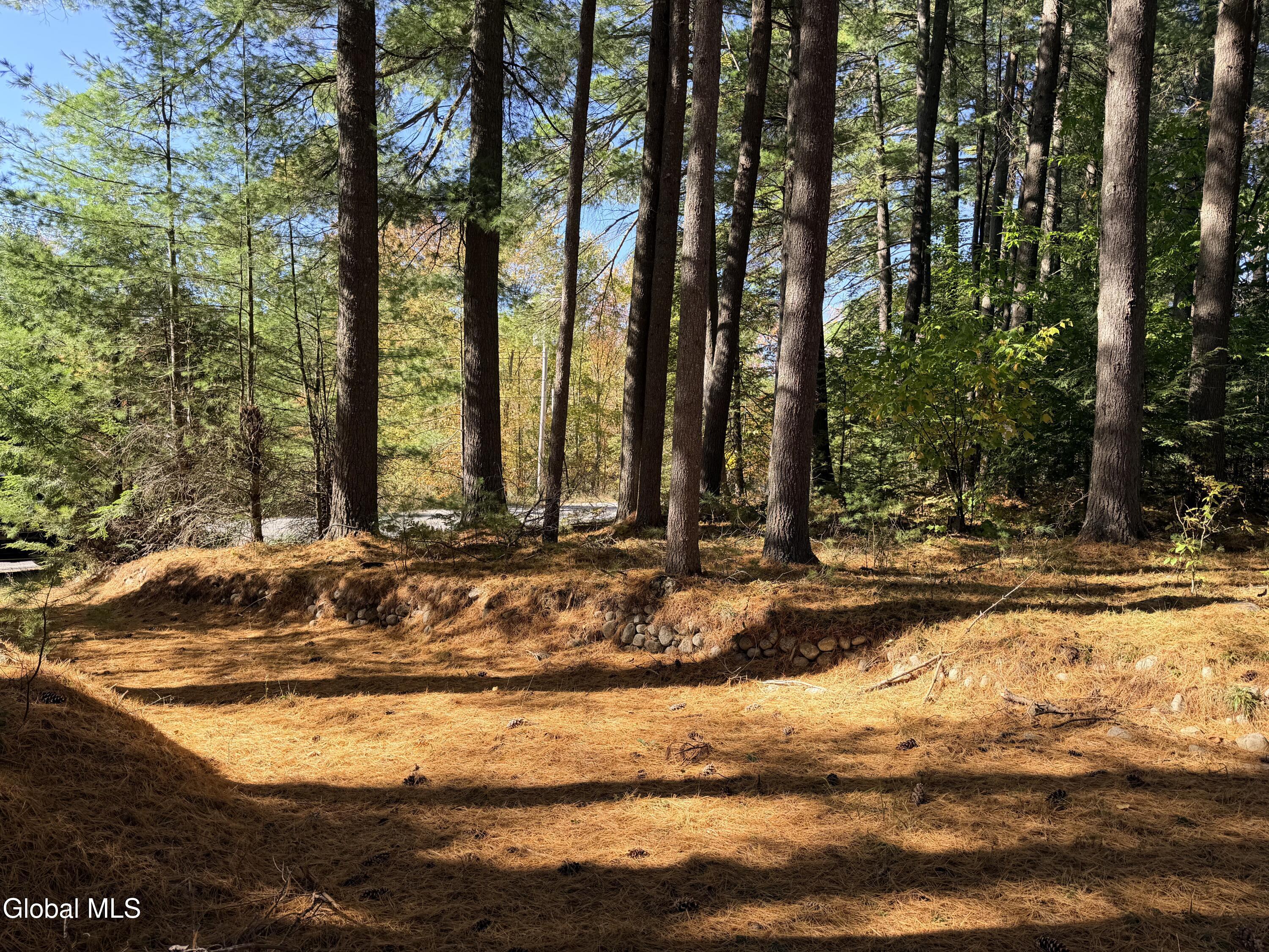4070 E Schroon River Road Pottersville NY 12860