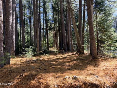4070 E Schroon River Road Pottersville NY 12860