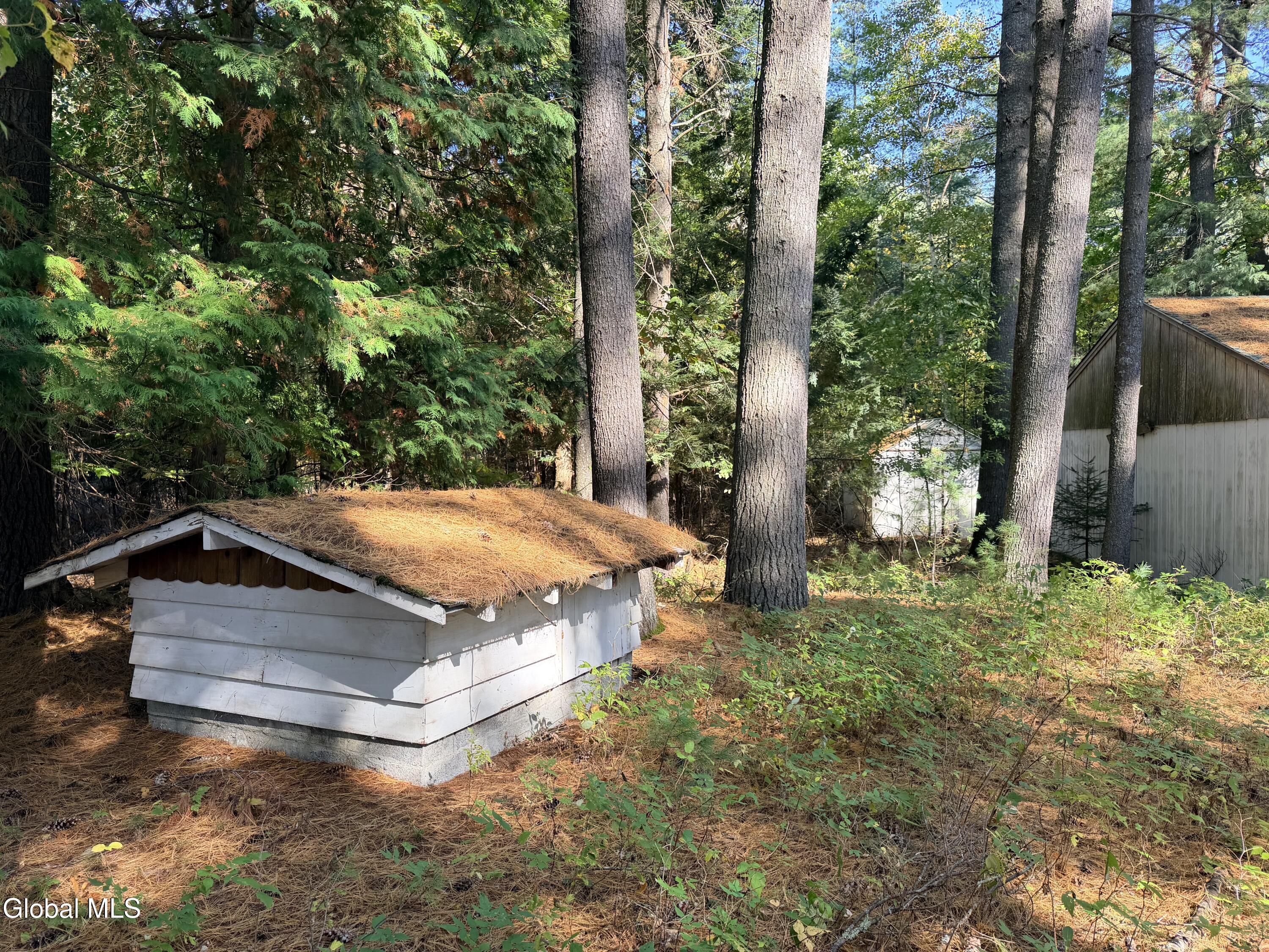 4070 E Schroon River Road Pottersville NY 12860