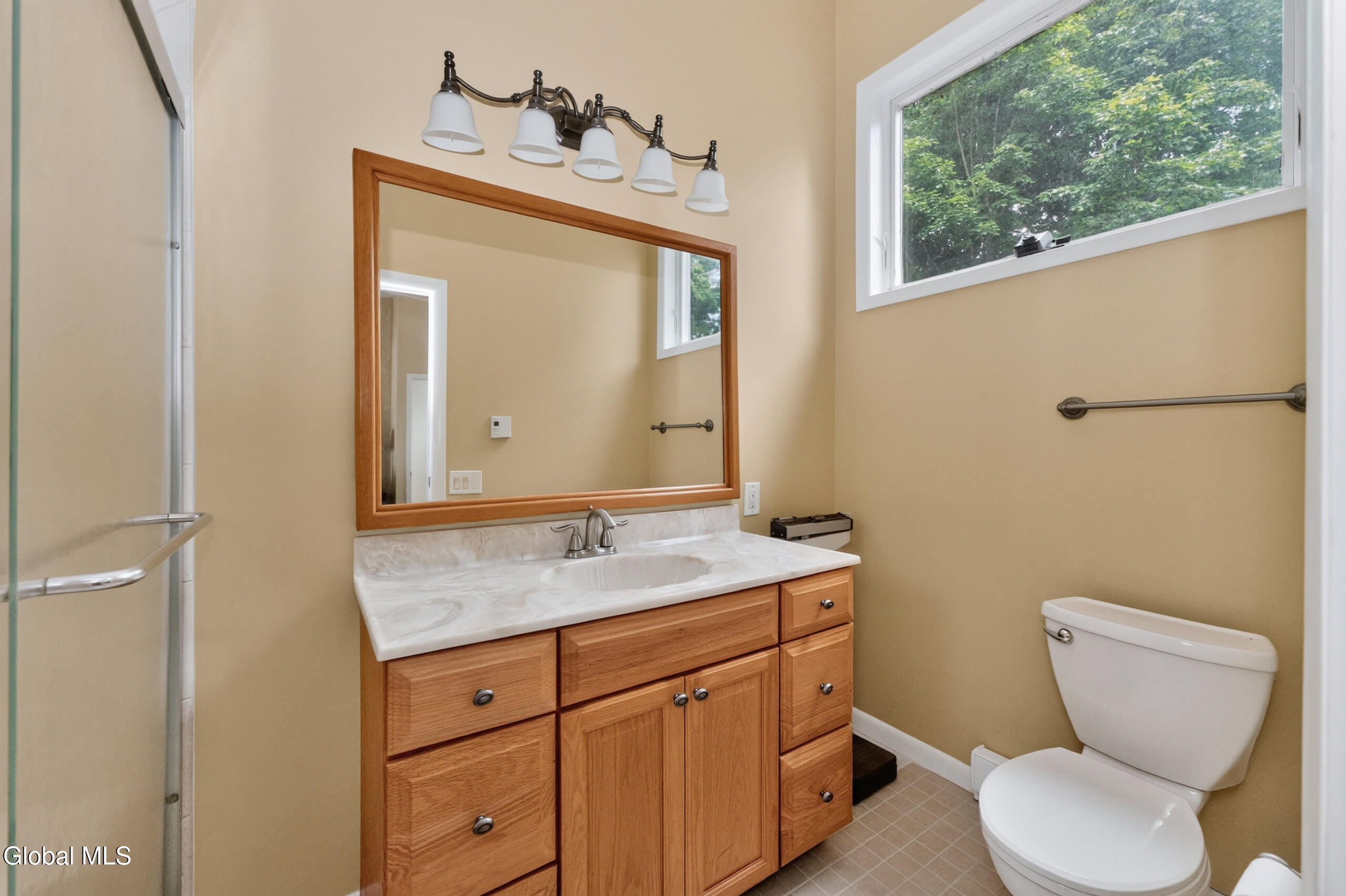 43 Lakeview Drive Chatham NY 12184