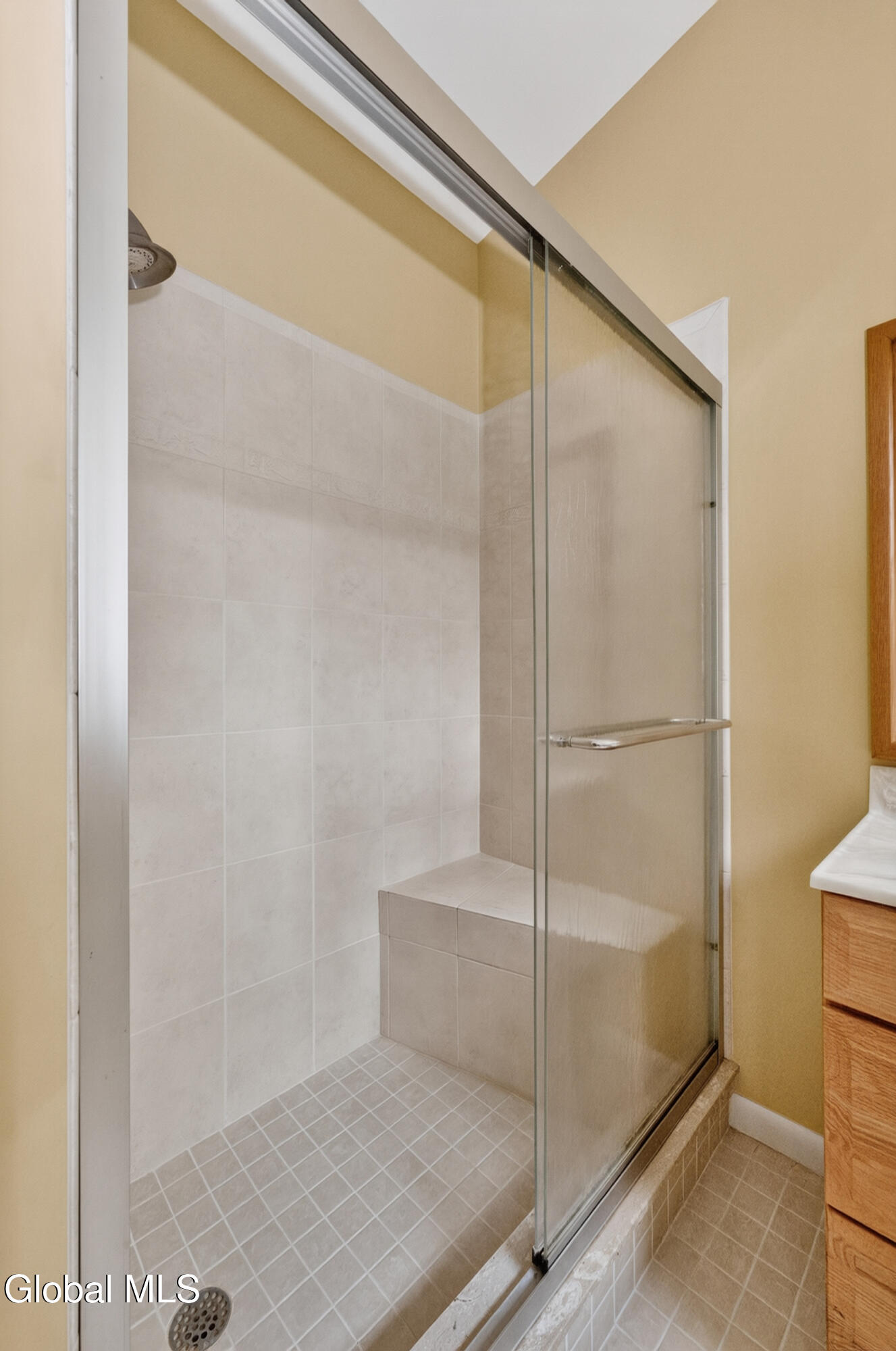 43 Lakeview Drive Chatham NY 12184