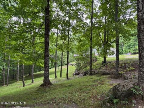 202 Old School House Road North River NY 12856