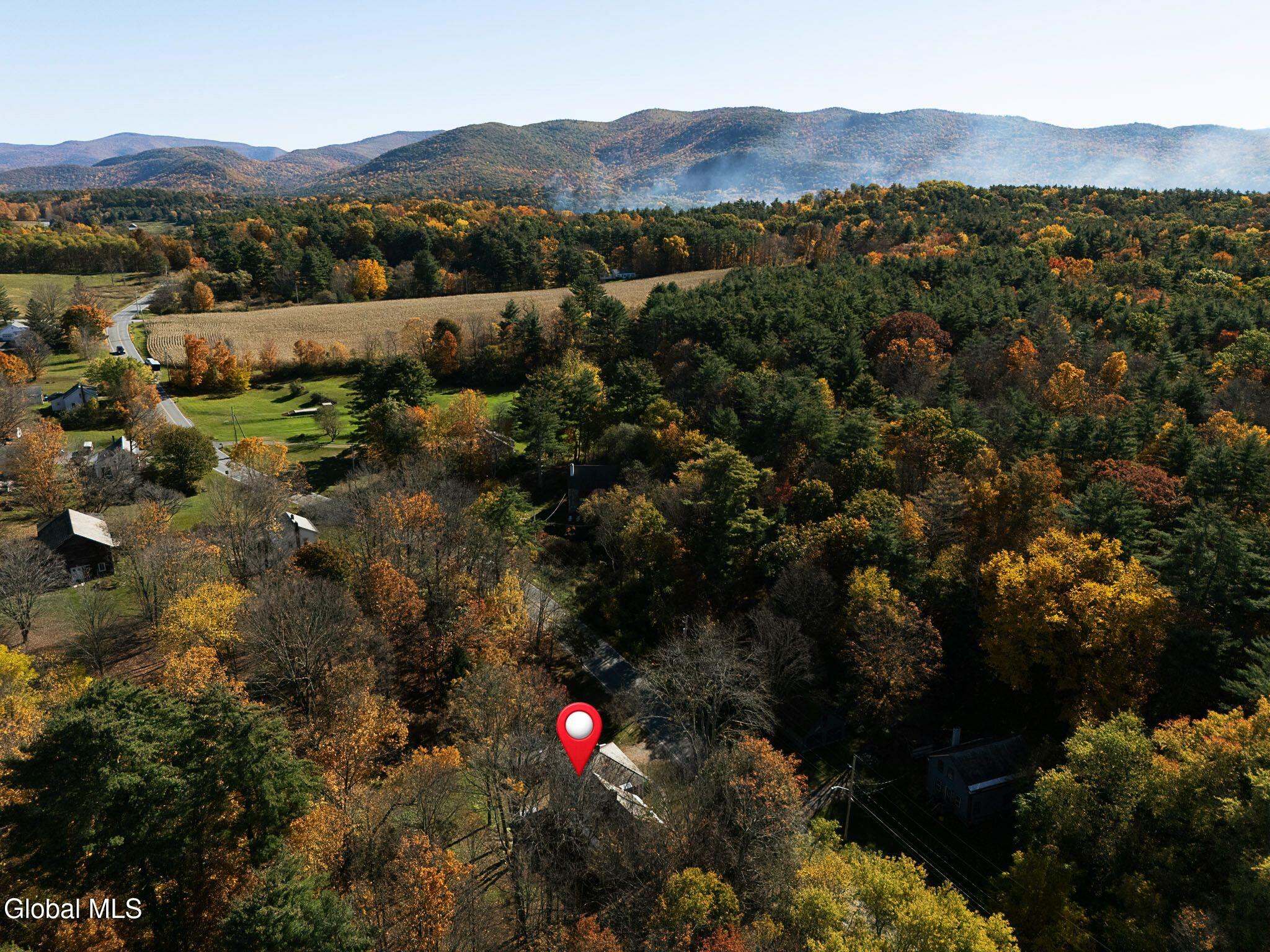 1081 County Route 61 Shushan NY 12873