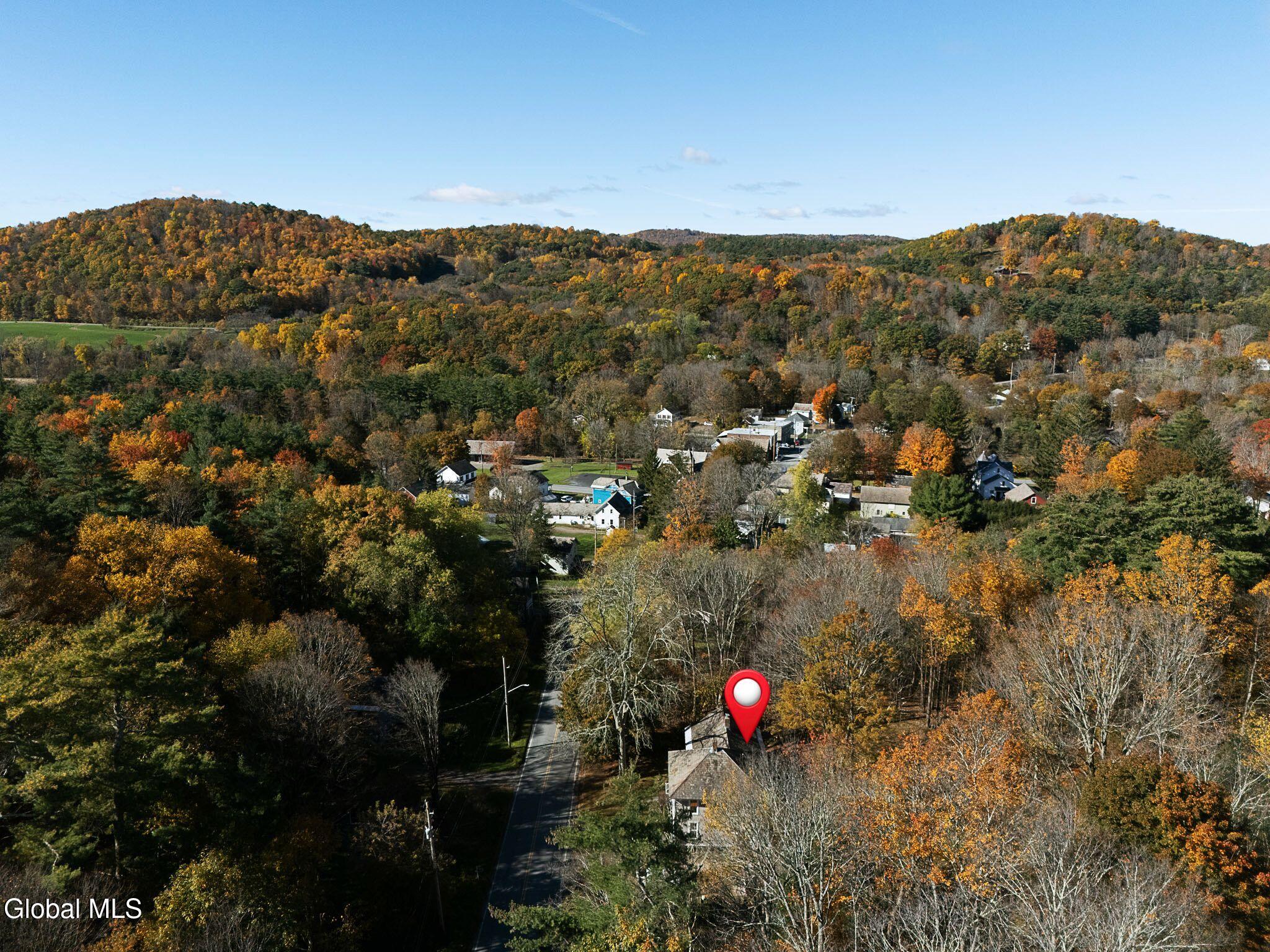 1081 County Route 61 Shushan NY 12873