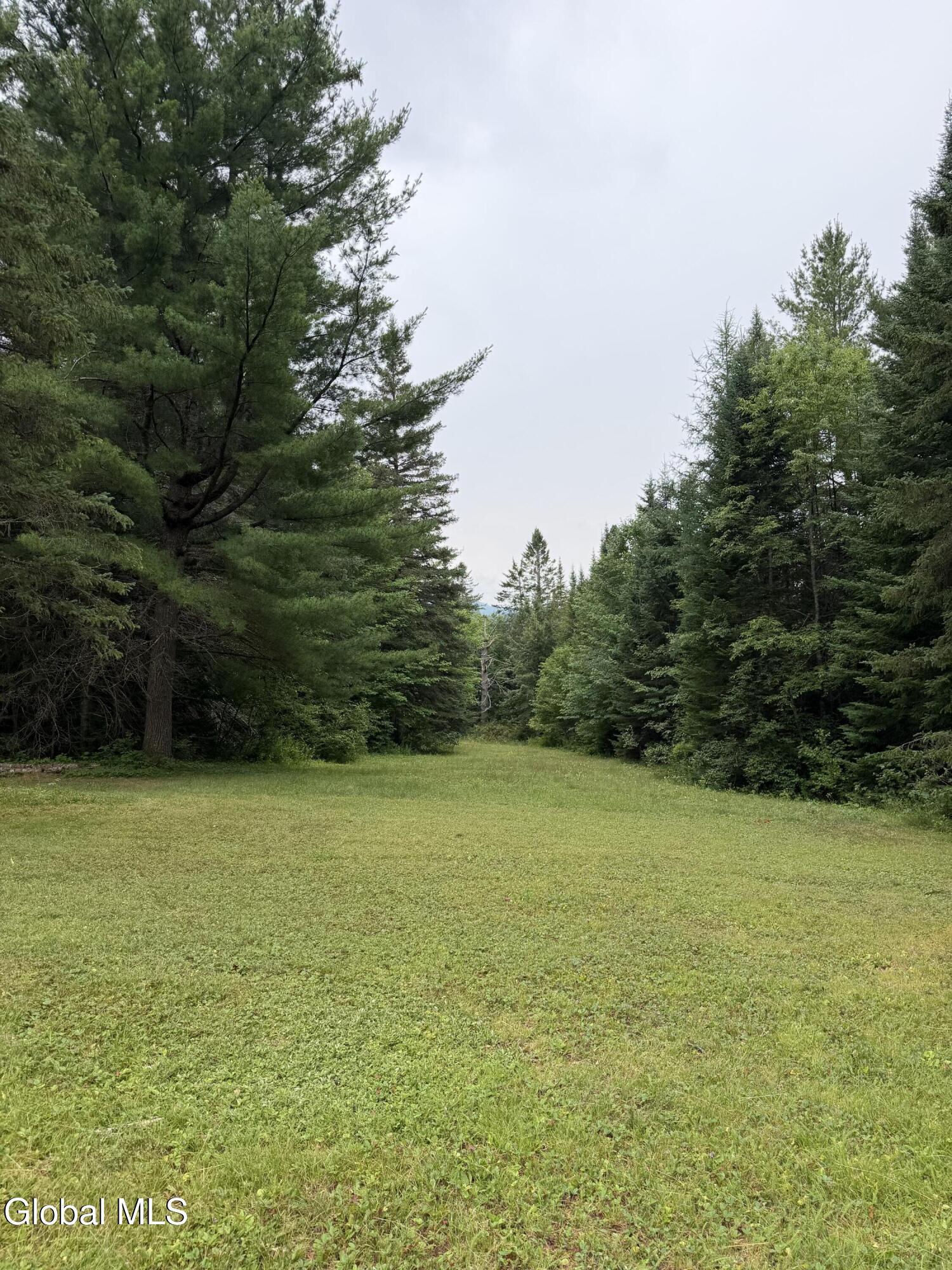 1828 Blue Ridge Road North Hudson NY 12870