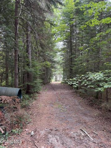 1828 Blue Ridge Road North Hudson NY 12870
