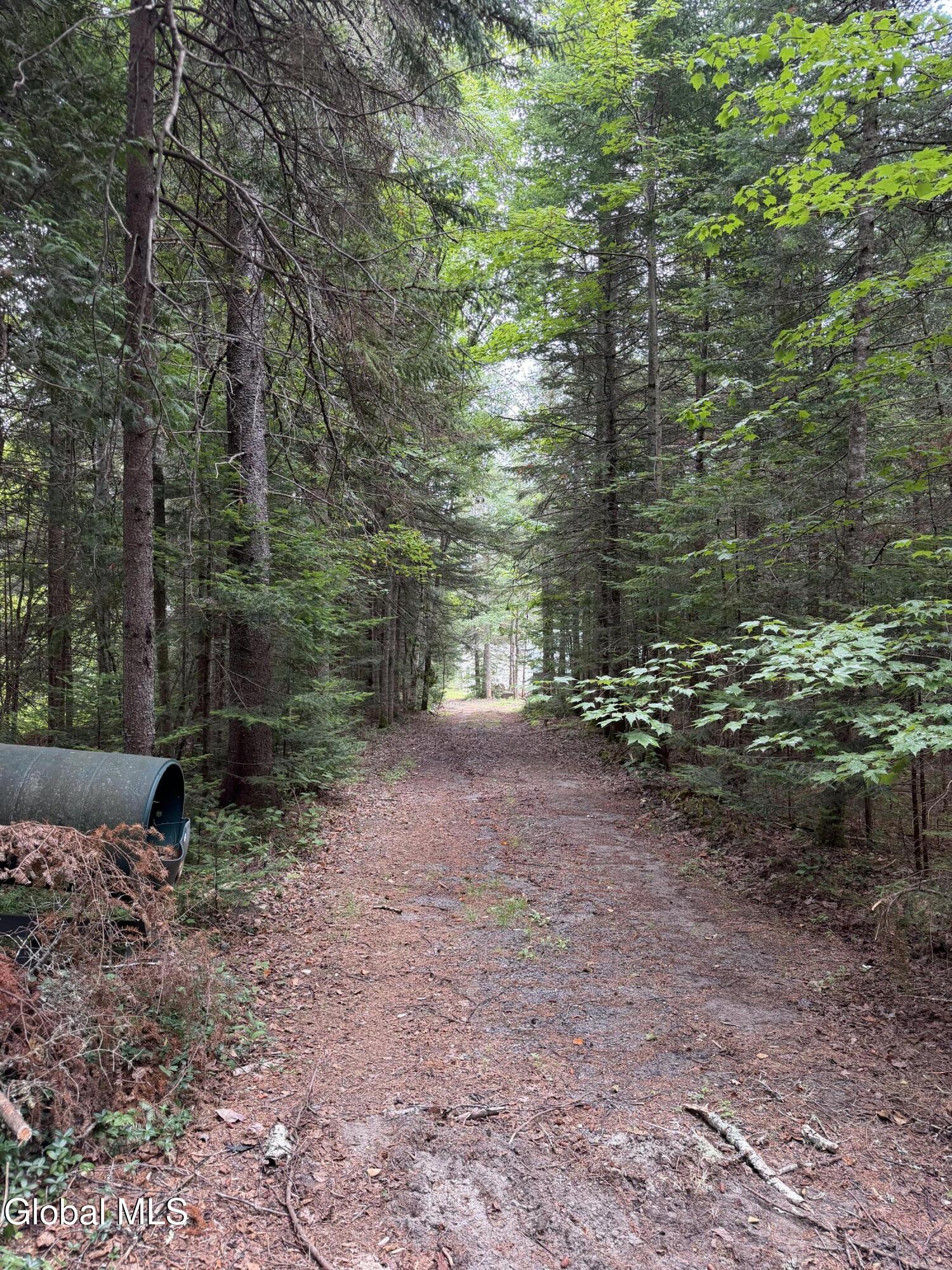 1828 Blue Ridge Road North Hudson NY 12870