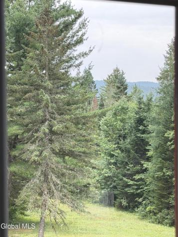 1828 Blue Ridge Road North Hudson NY 12870