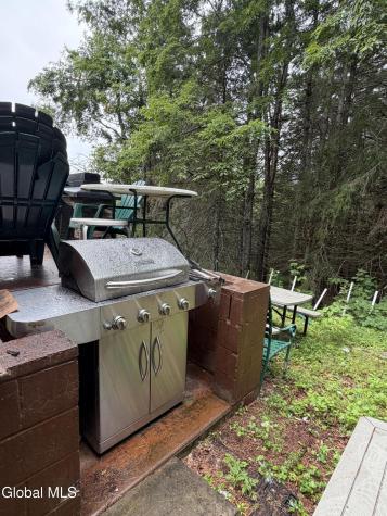 1828 Blue Ridge Road North Hudson NY 12870