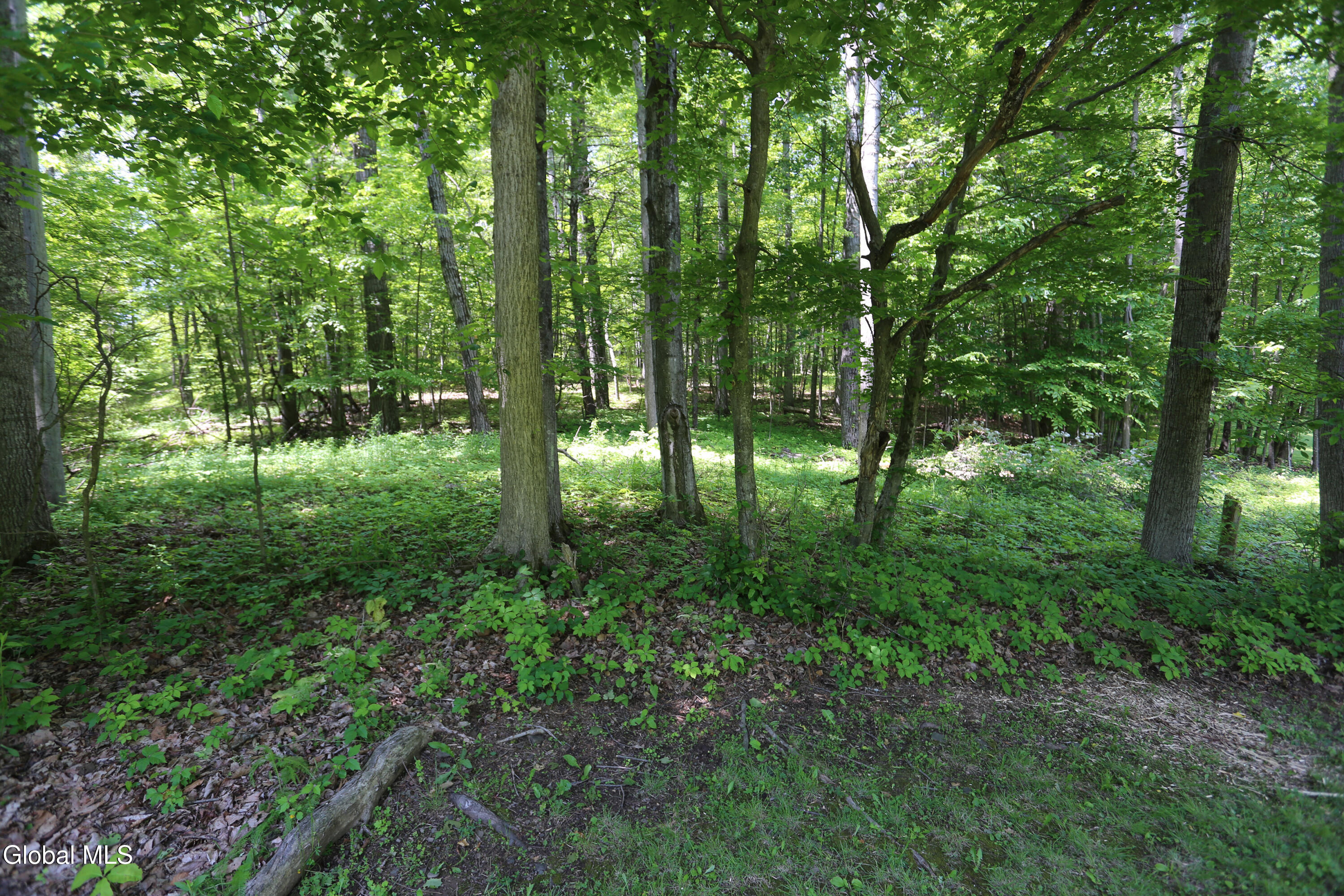 219 Edison Timmerman Road Cairo NY 12413