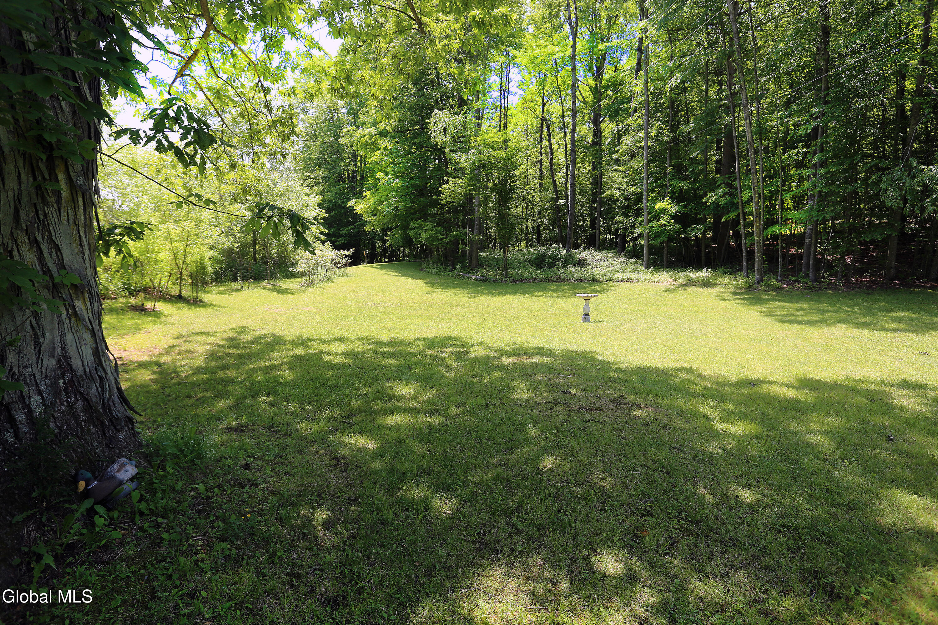 219 Edison Timmerman Road Cairo NY 12413