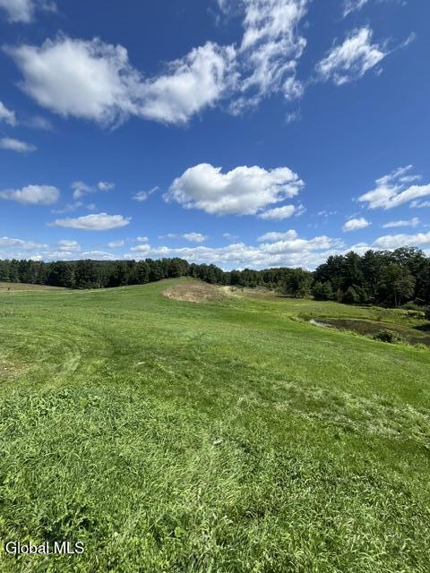 322 Hubb Shutts Road Cobleskill NY 12043