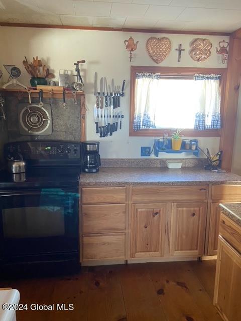 25 Dresden Hill Road Dresden NY 12819