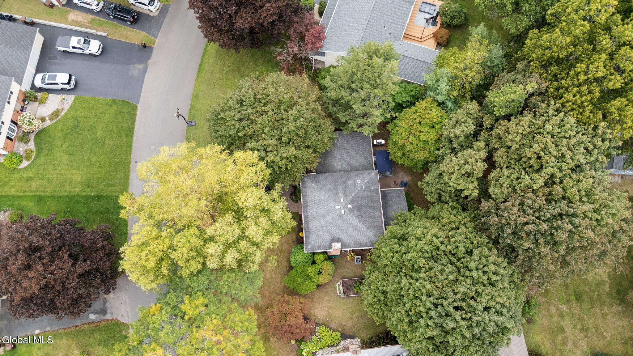 5 Haddington Lane Delmar NY 12054