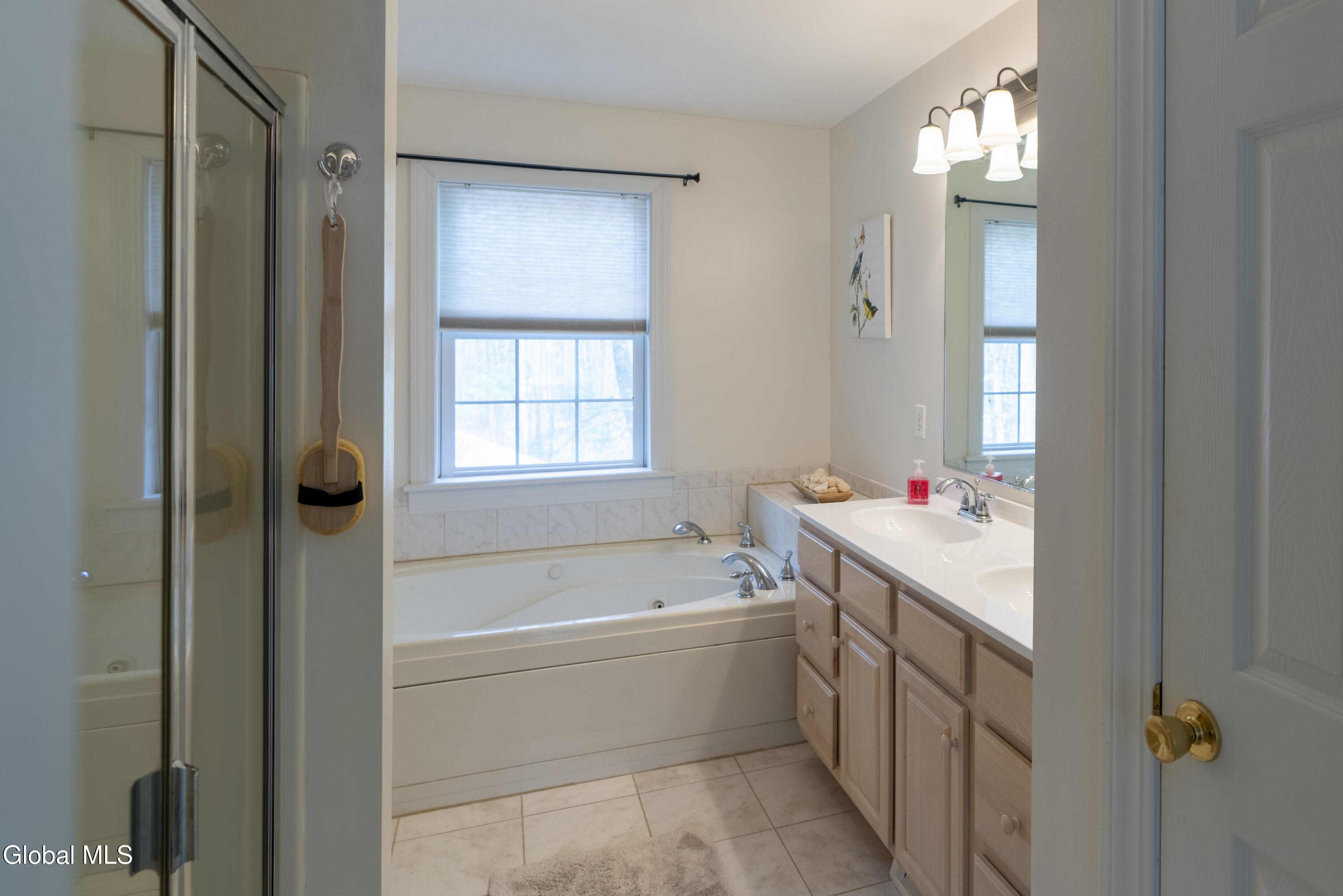 12 Preserve Way Saratoga NY 12866