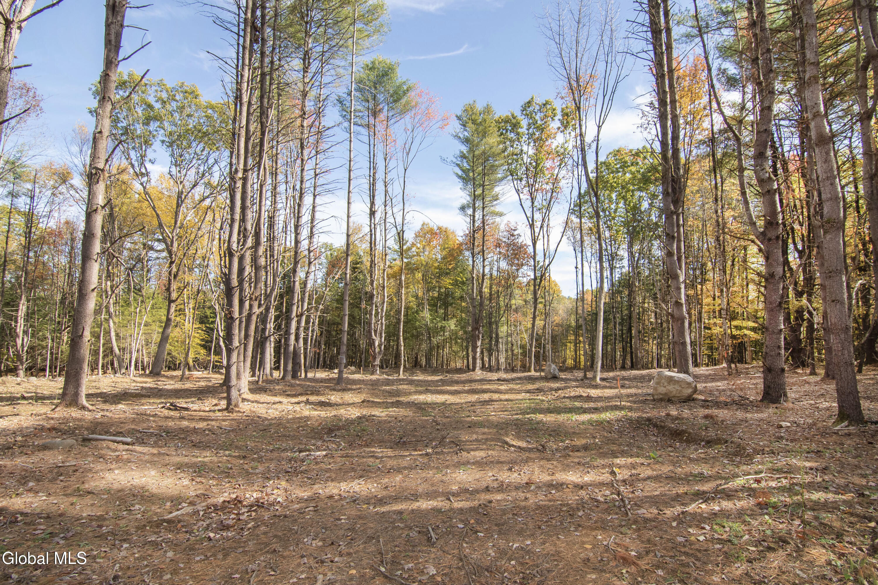 93 Sand Hill Road Greenfield Center NY 12833