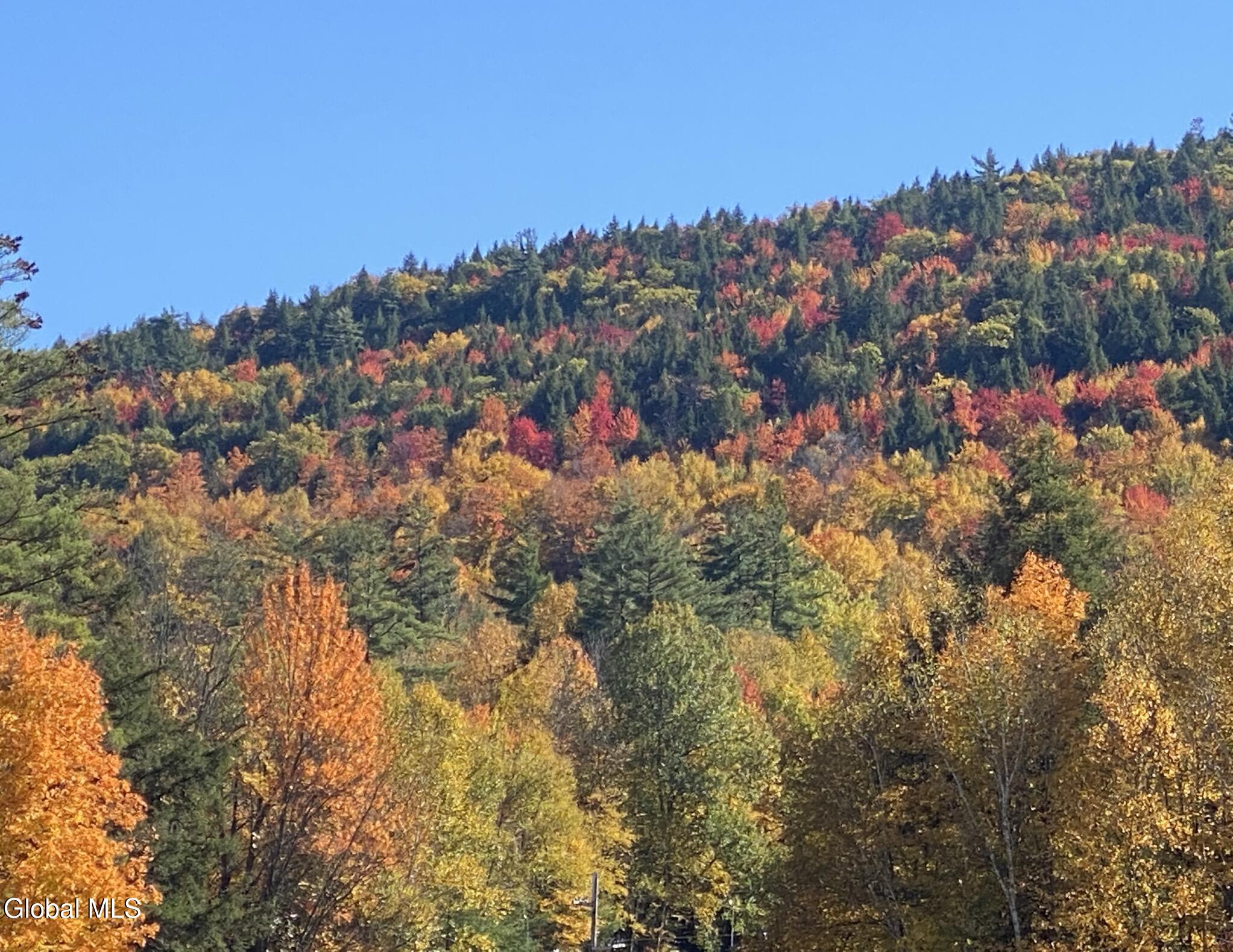63 Chuckwagon Trail Lake Luzerne NY 12846