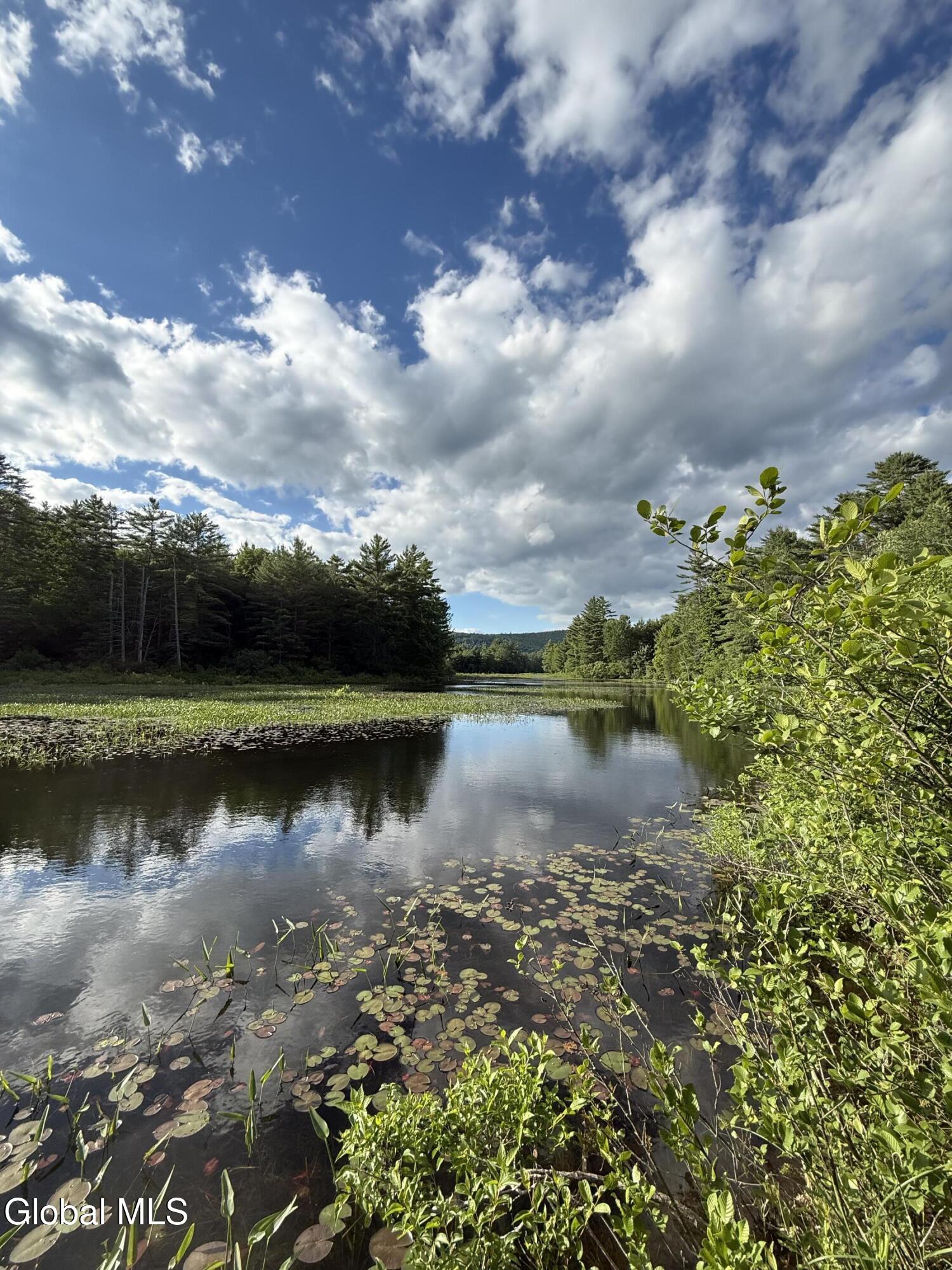 4 Tannery Road Brant Lake NY 12815