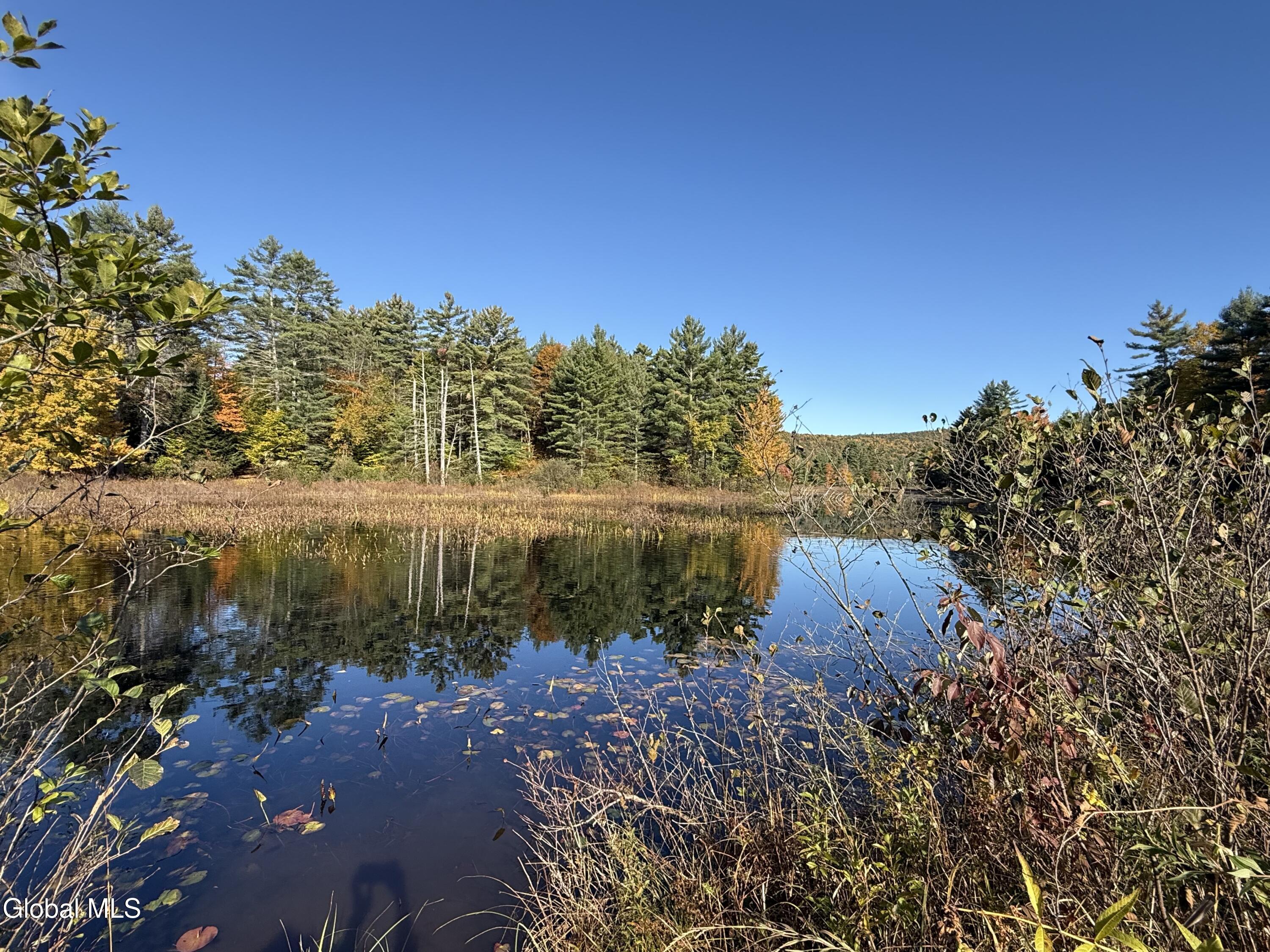 4 Tannery Road Brant Lake NY 12815