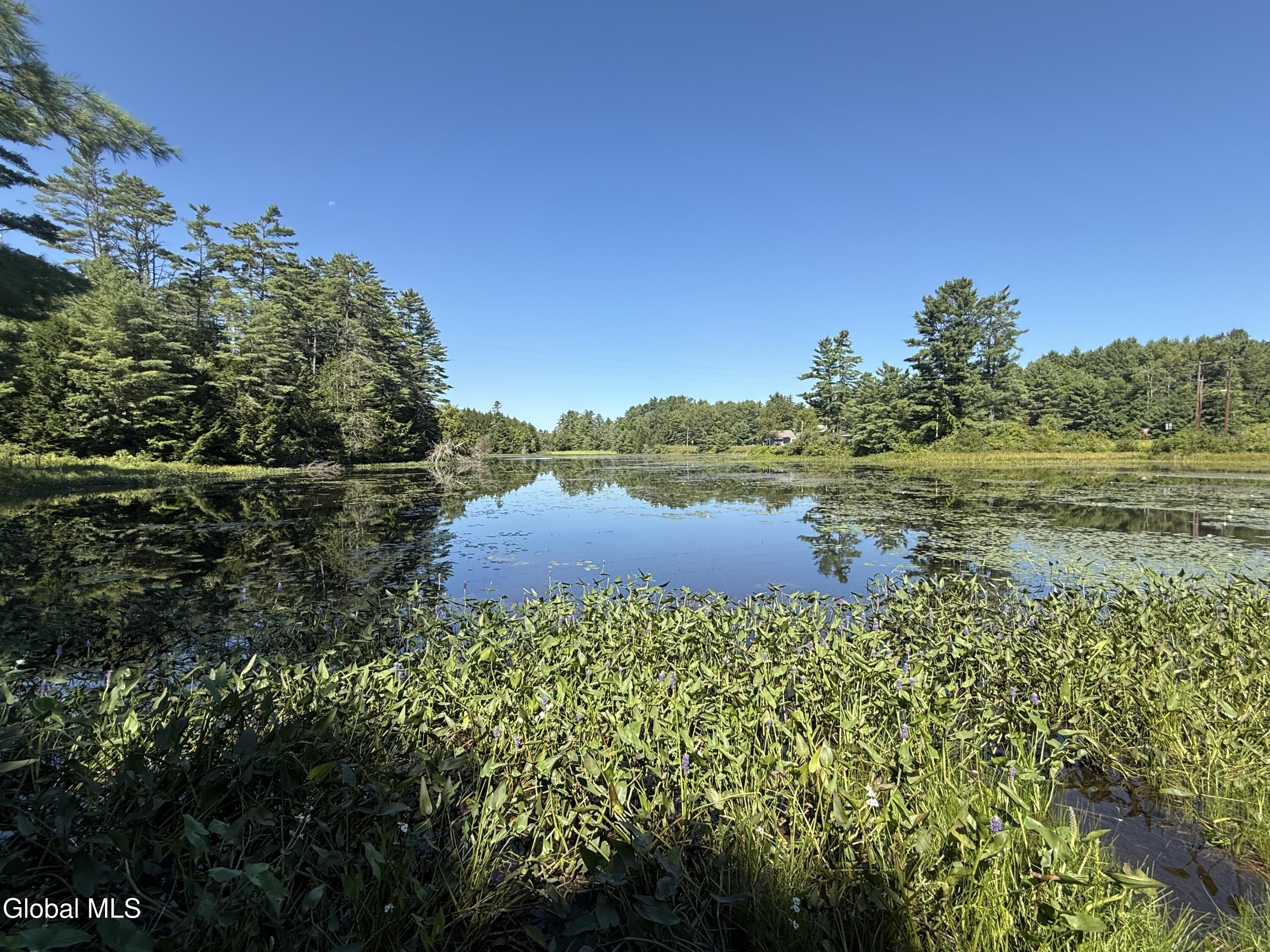 4 Tannery Road Brant Lake NY 12815