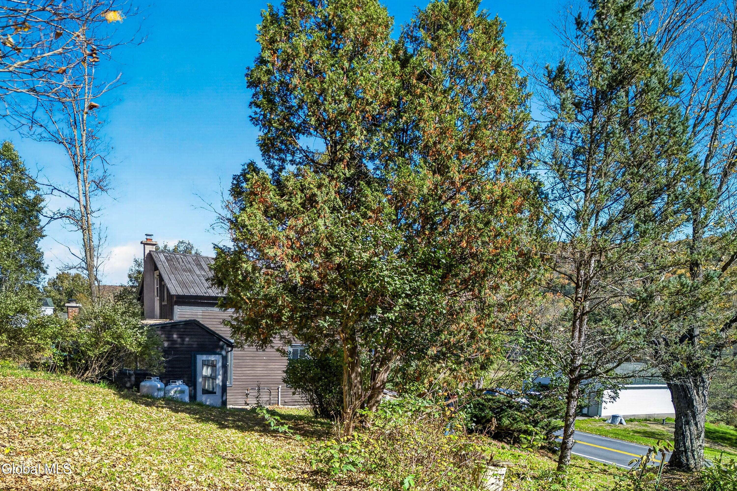 737 Charlotte Valley Road East Worcester NY 12036