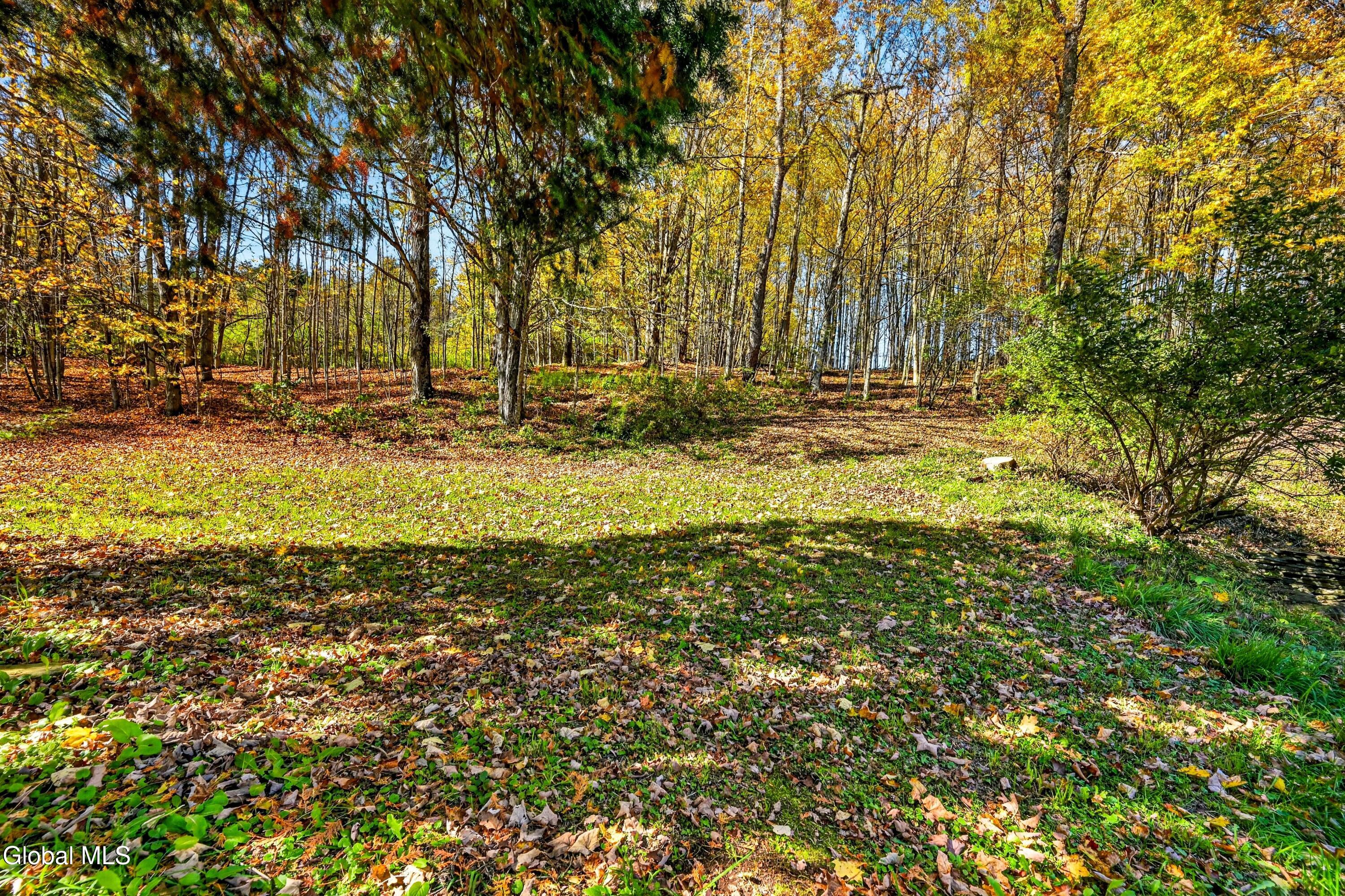737 Charlotte Valley Road East Worcester NY 12036