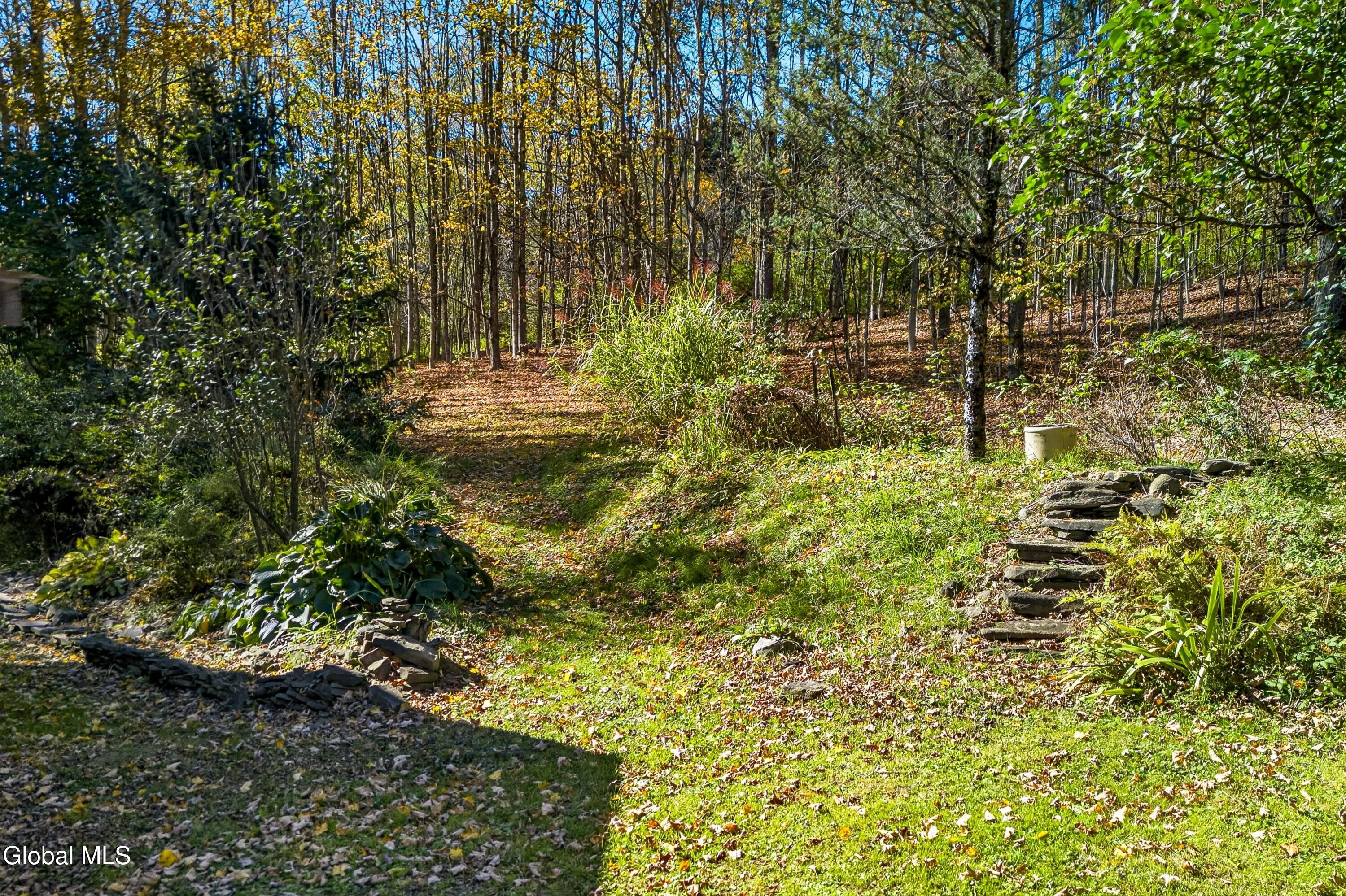 737 Charlotte Valley Road East Worcester NY 12036