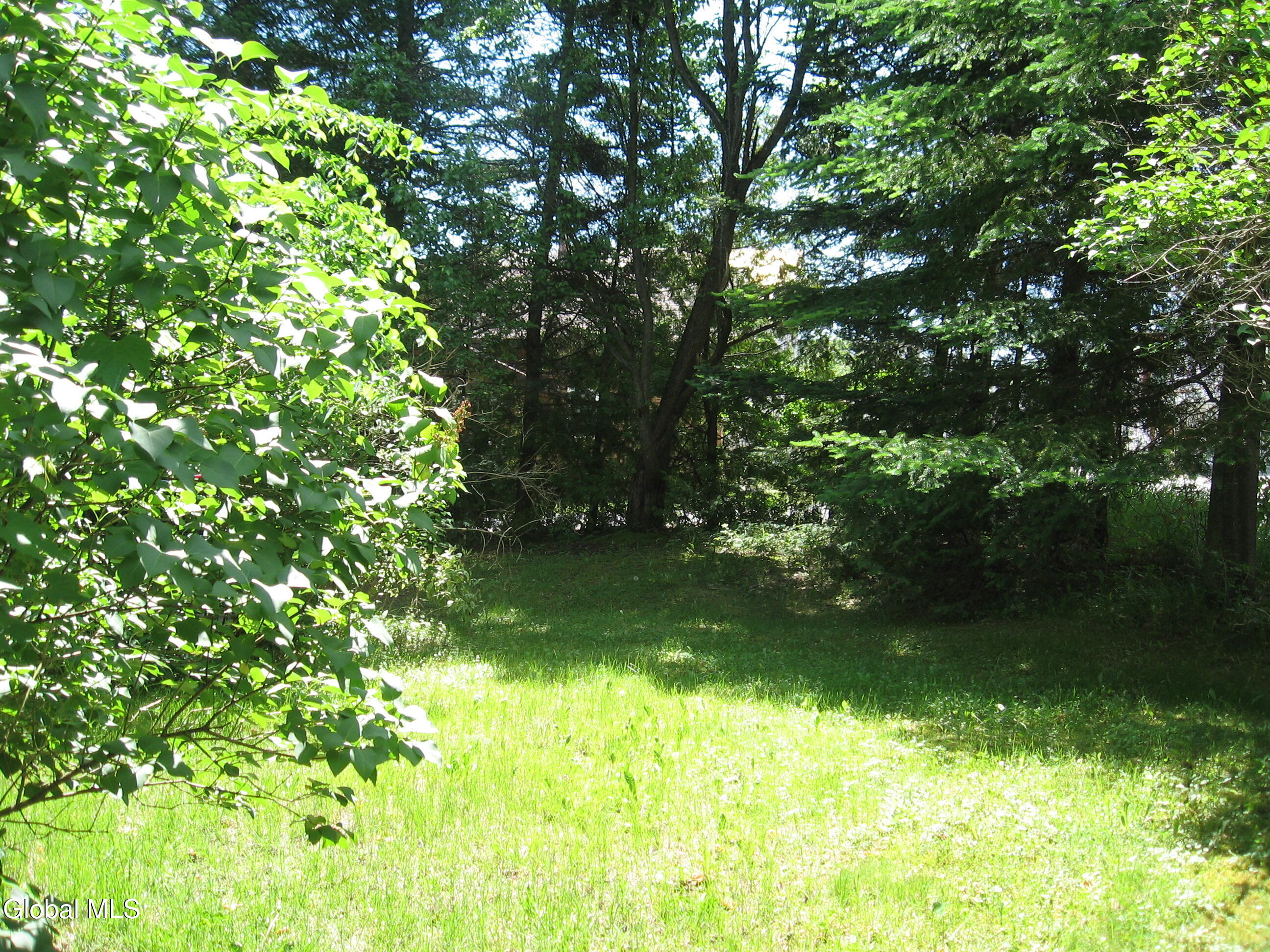 28 Olmstedville Road North Creek NY 12817