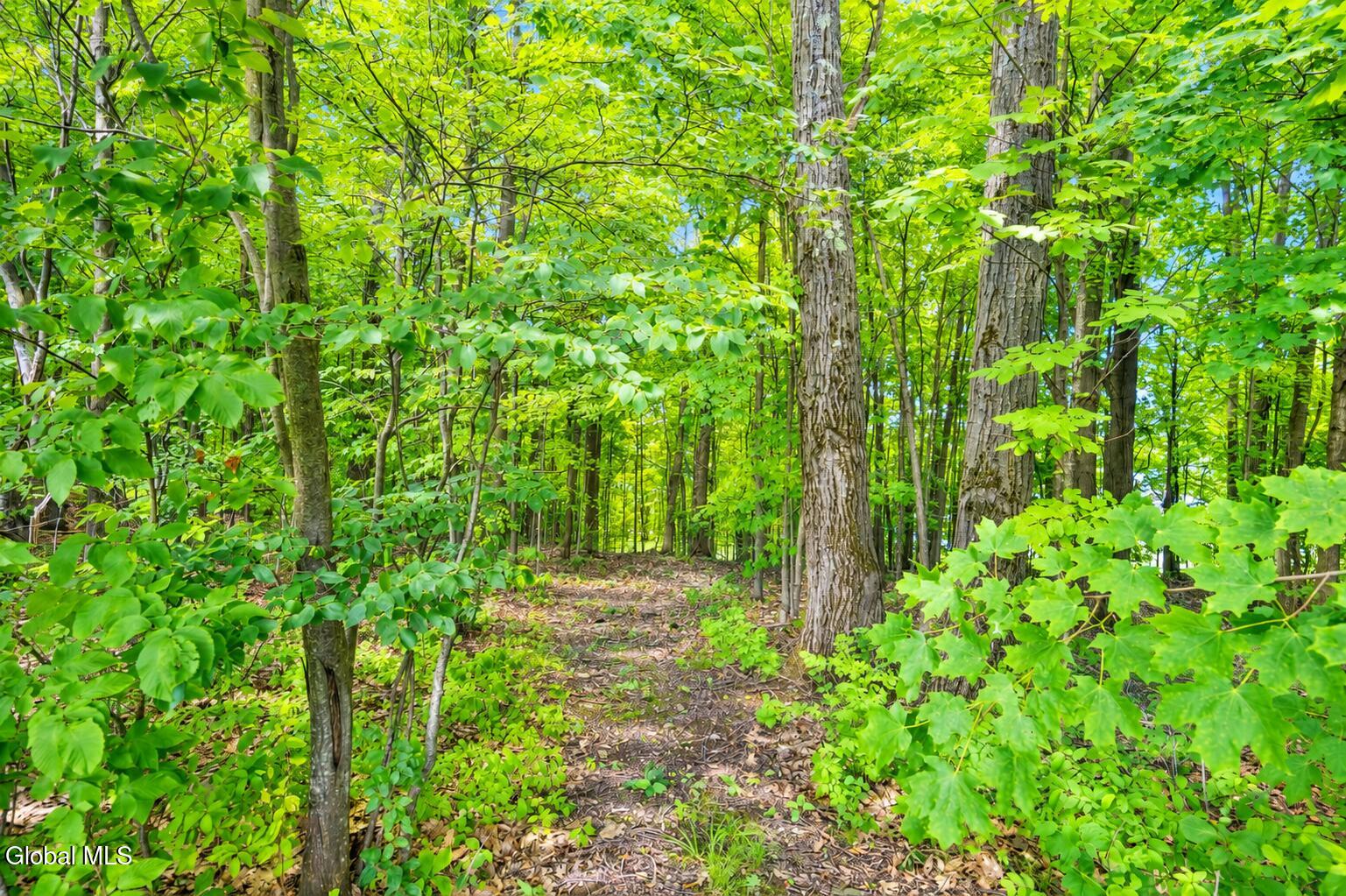 286 Severine Lane Glen NY 12072