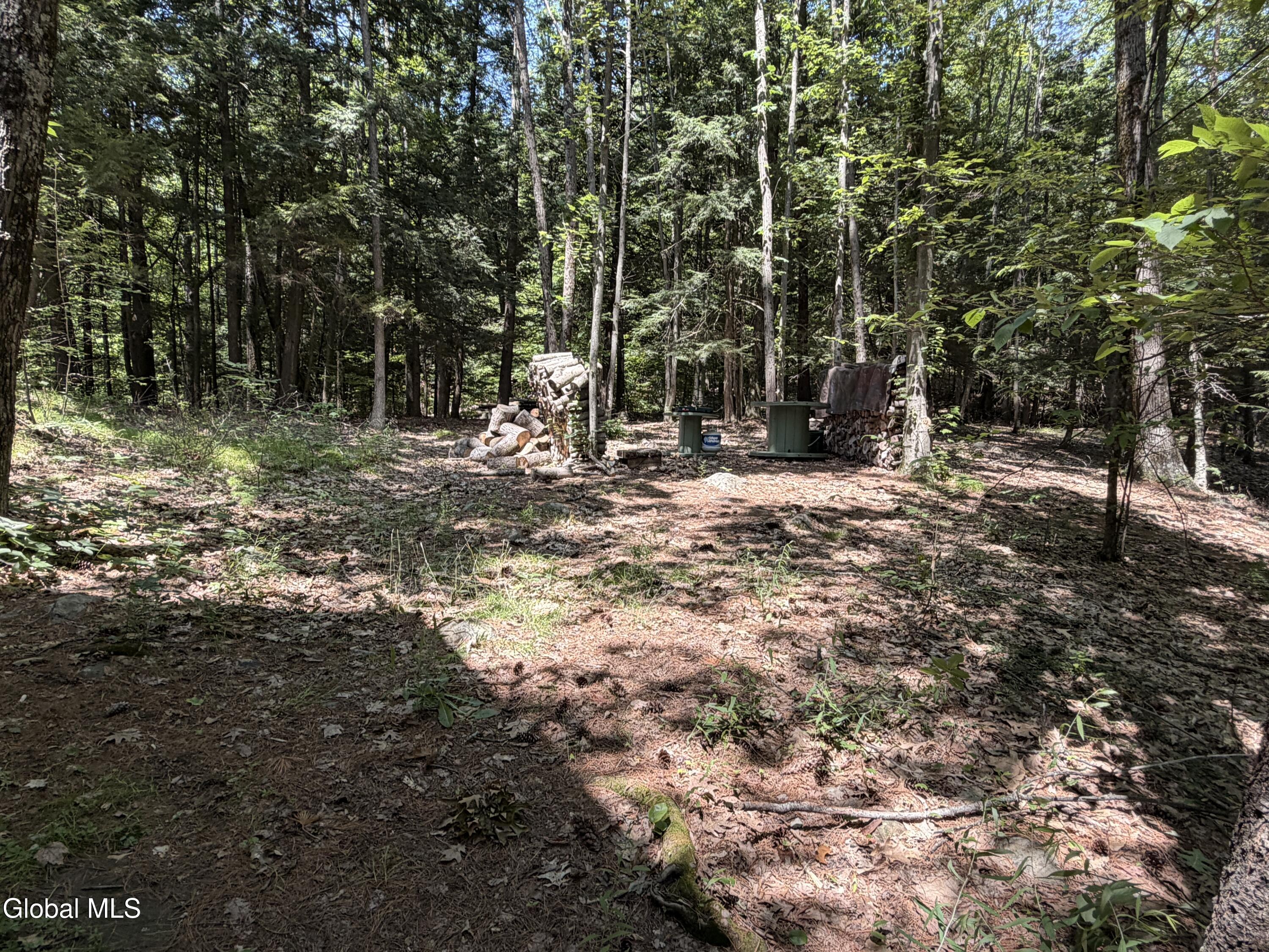 100 Liddle Harris Road Putnam Station NY 12861