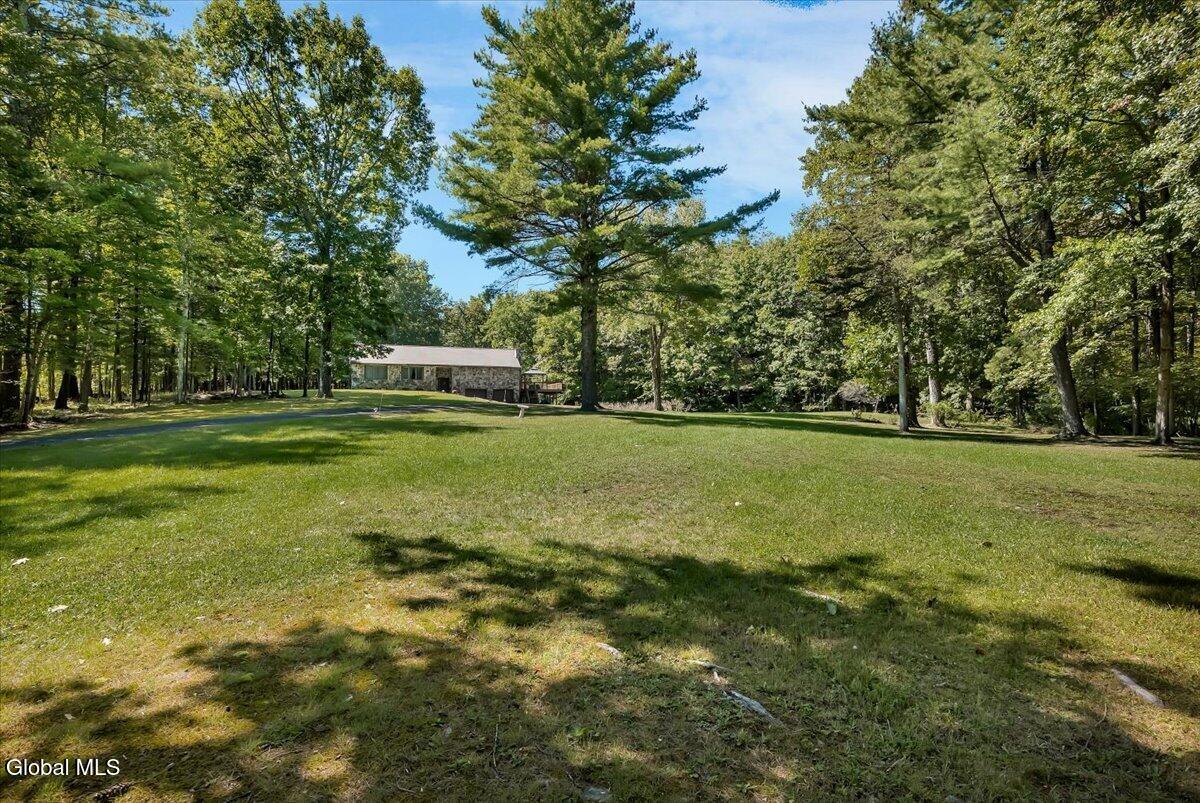 6196 Route 81 East Durham NY 12423