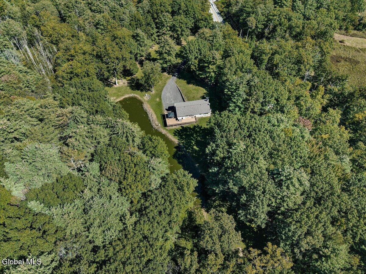 6196 Route 81 East Durham NY 12423