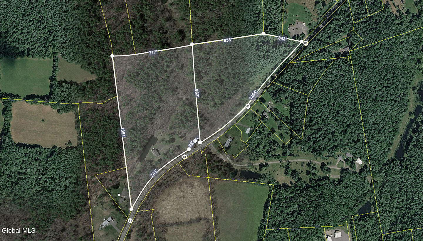 6196 Route 81 East Durham NY 12423