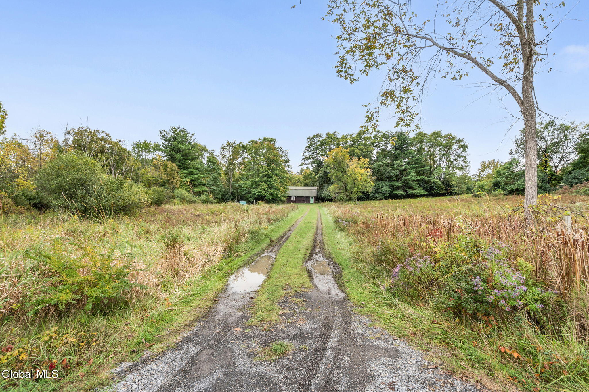 4414 Frederick Road Altamont NY 12009