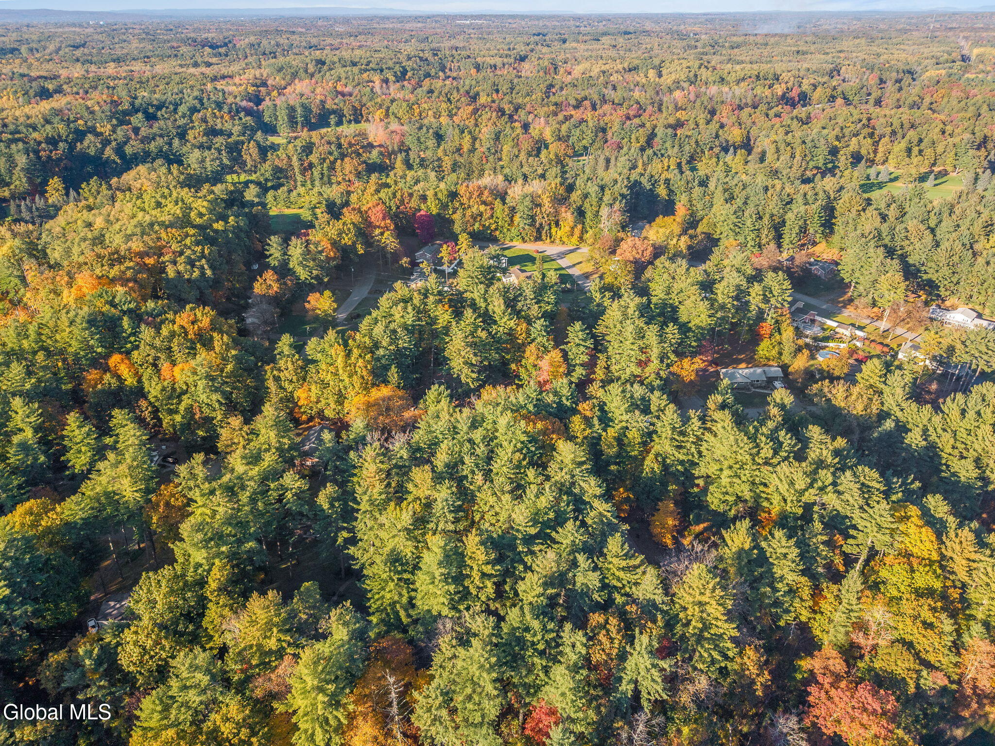 6 Pine Ridge Drive Guilderland NY 12084