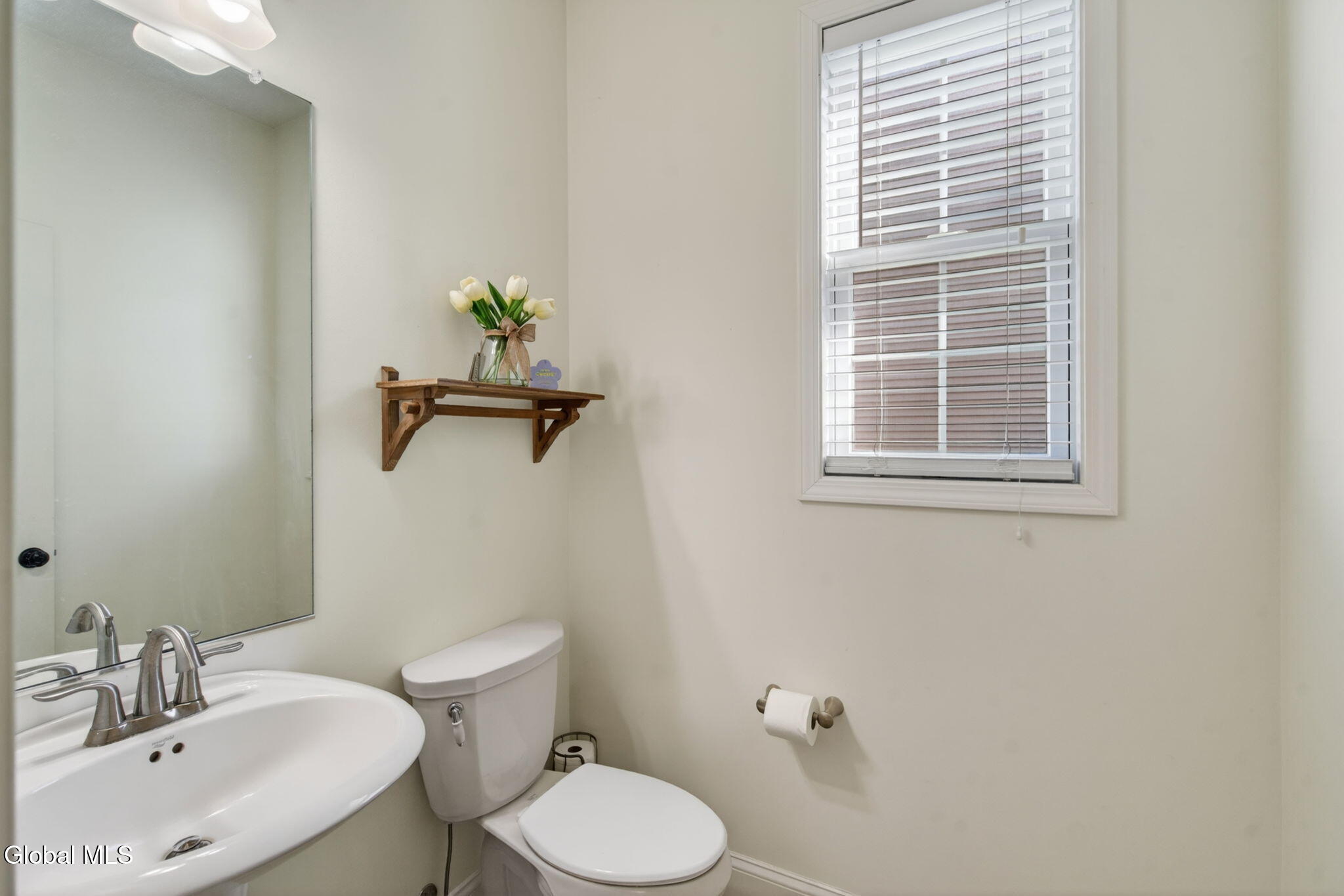 17 Mahogany Drive Watervliet NY 12189
