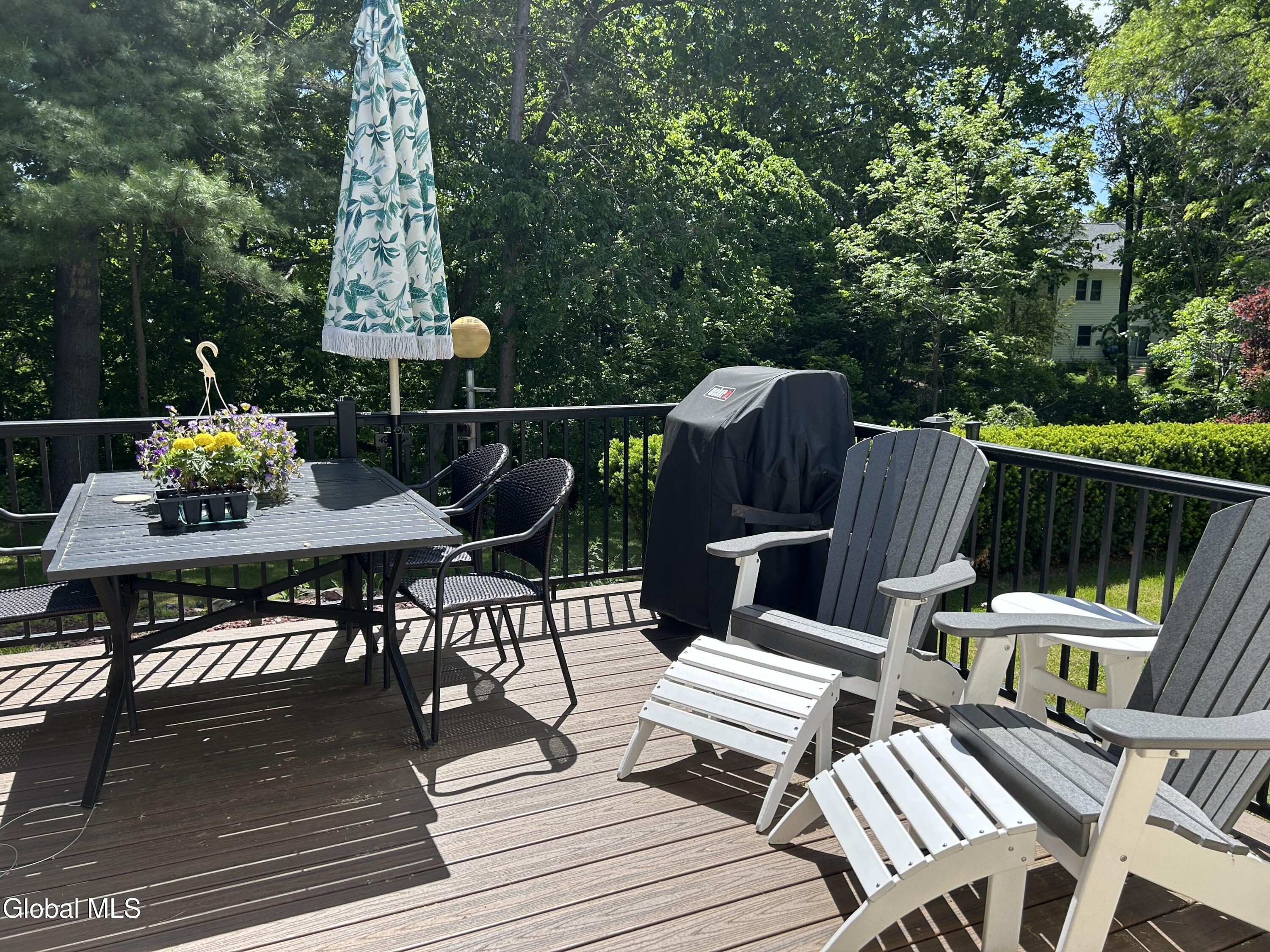 15 Birchwood Drive Halfmoon NY 12065