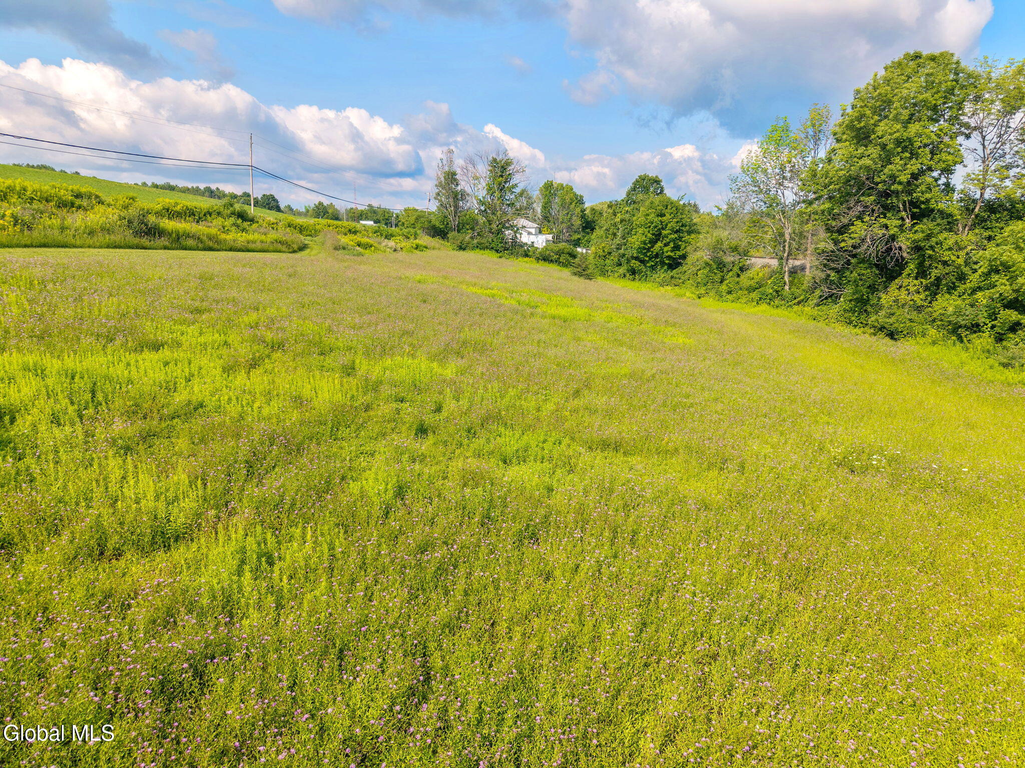 555 Barnerville Road Howes Cave NY 12092