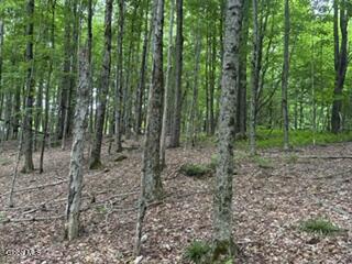 154 Zellner Road Summit NY 12175