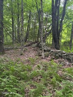 154 Zellner Road Summit NY 12175