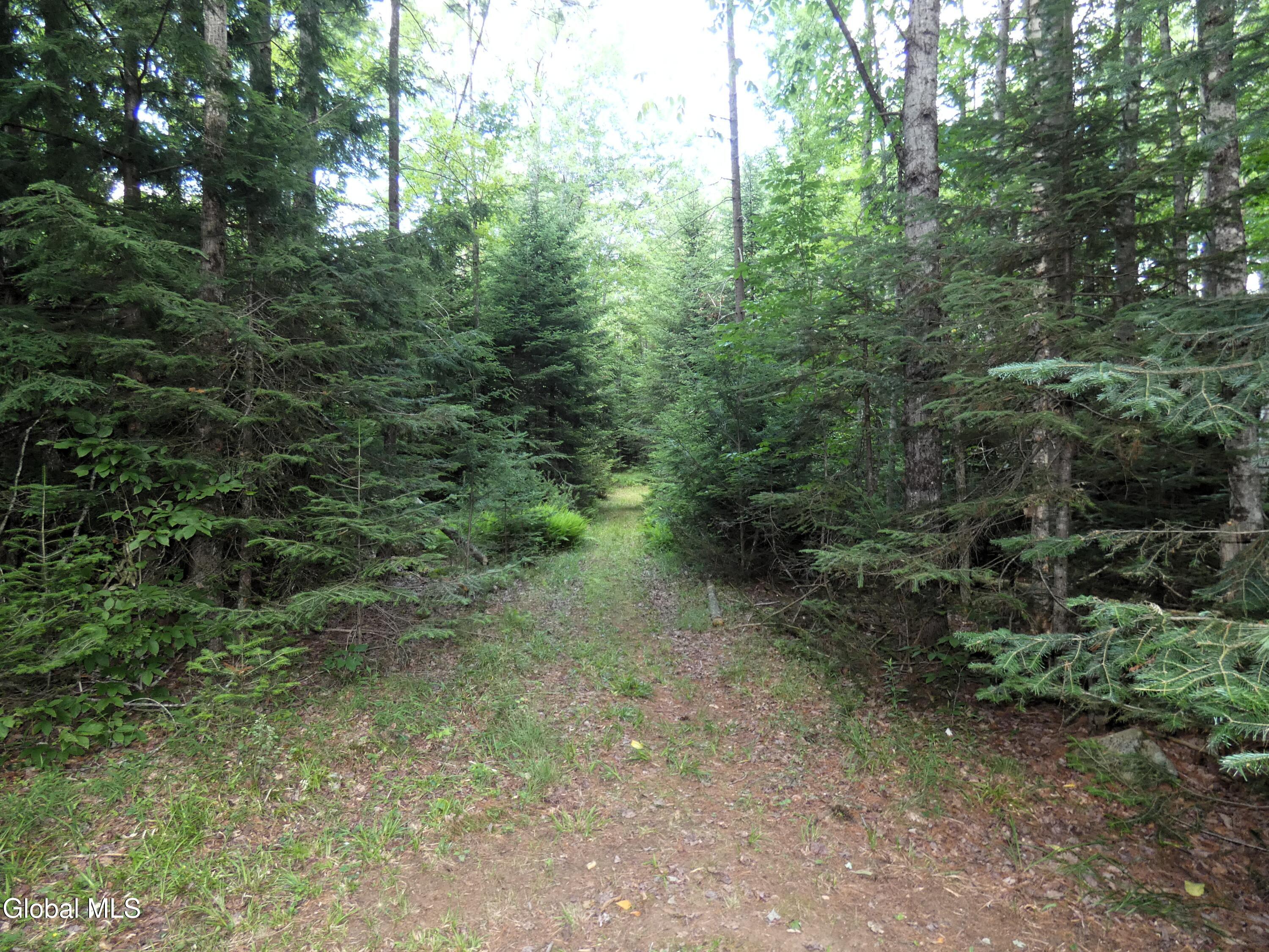 323 Goodman Road Johnsburg NY 12843