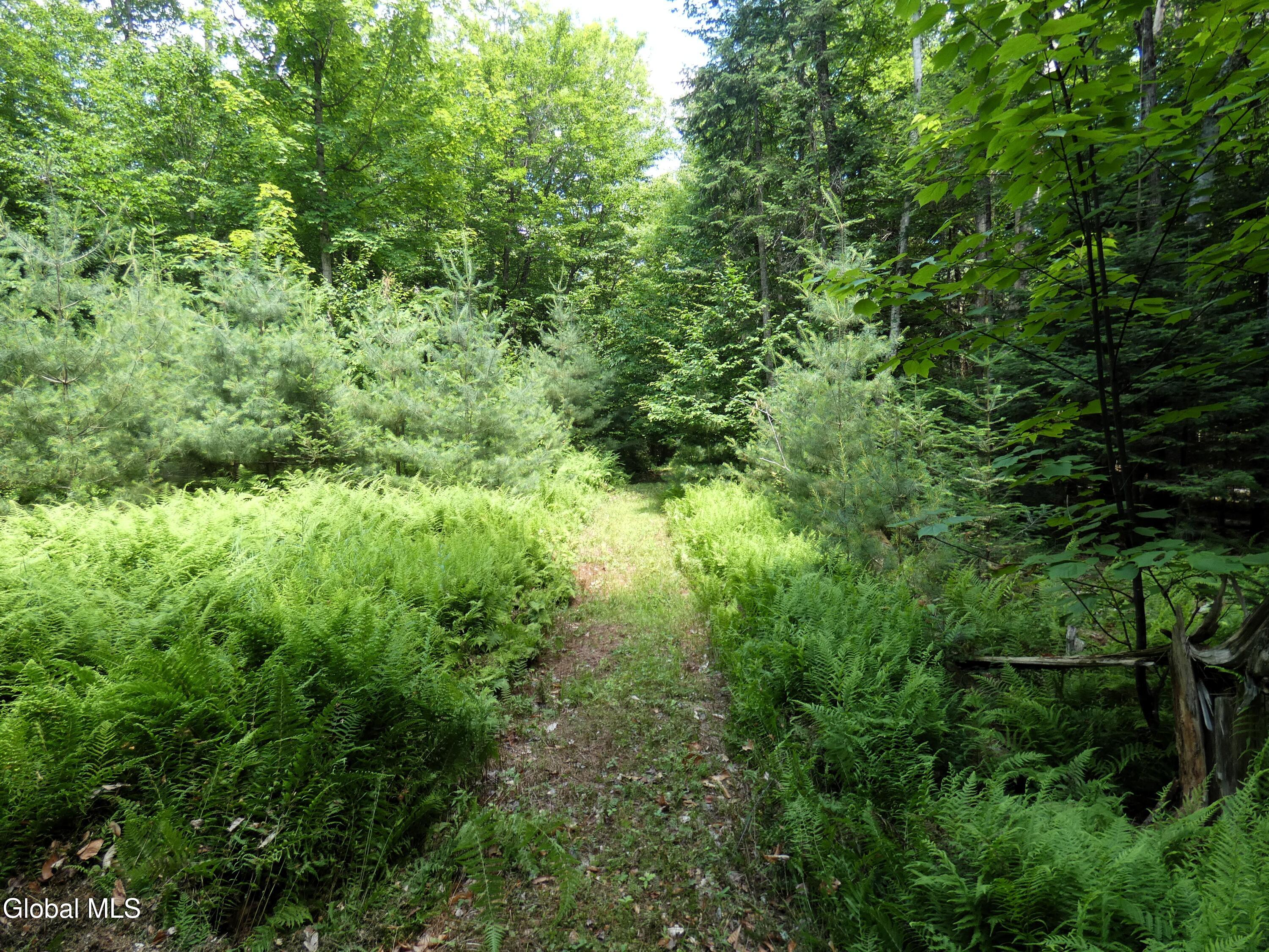 323 Goodman Road Johnsburg NY 12843