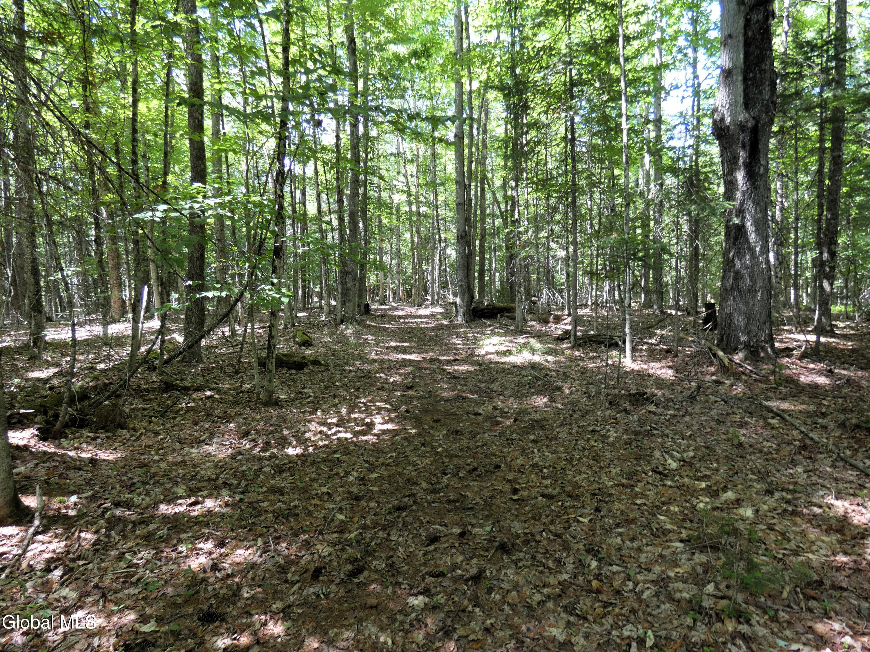323 Goodman Road Johnsburg NY 12843