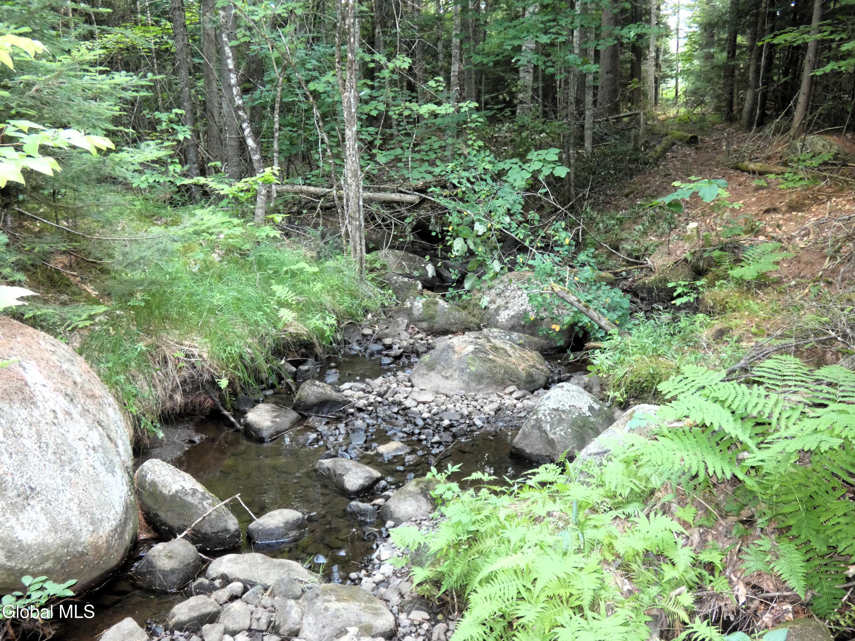 323 Goodman Road Johnsburg NY 12843