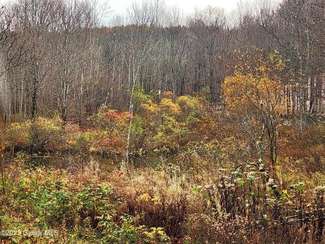 172 Mace Hill Road Middleburgh NY 12122