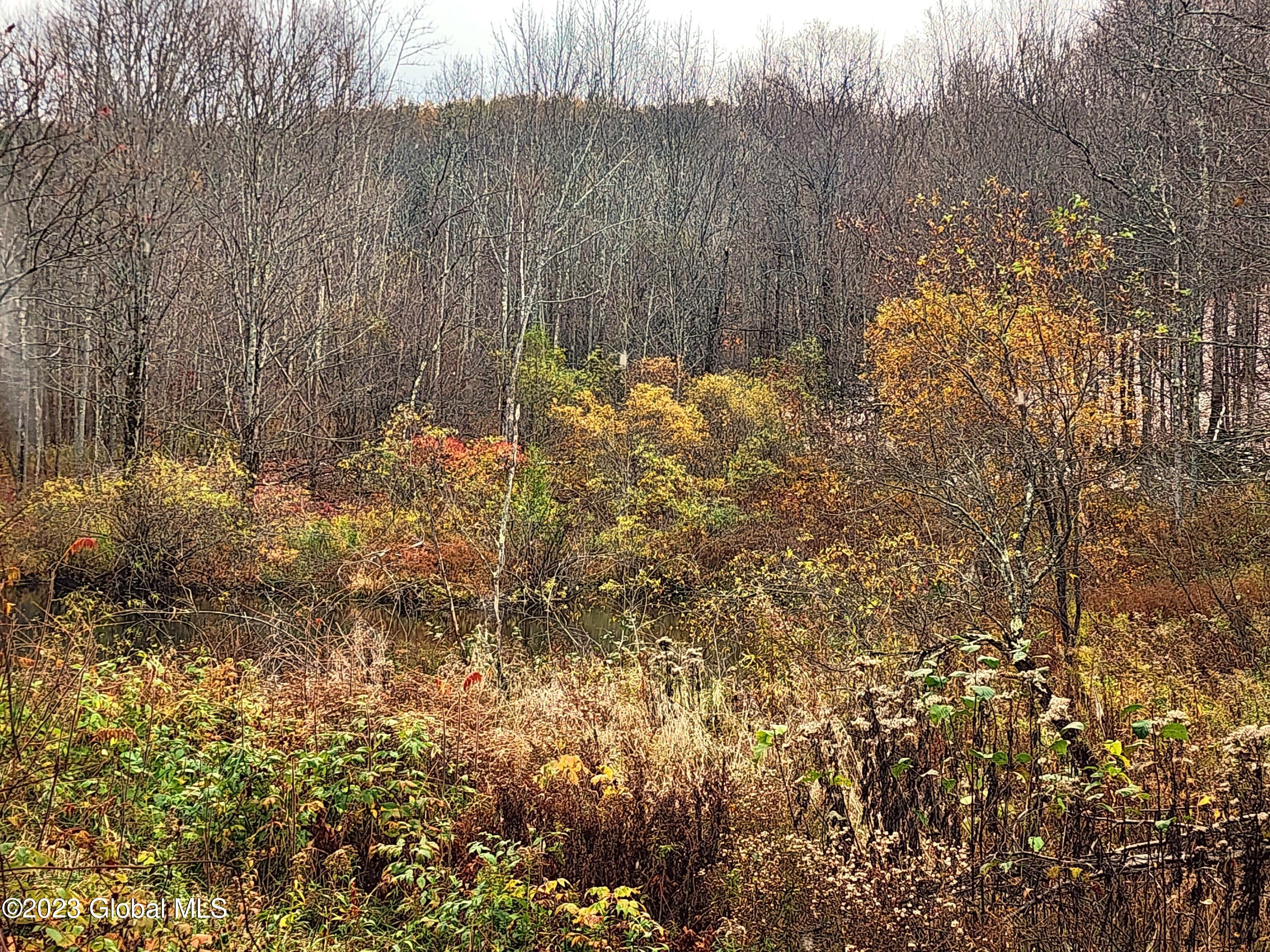 172 Mace Hill Road Middleburgh NY 12122