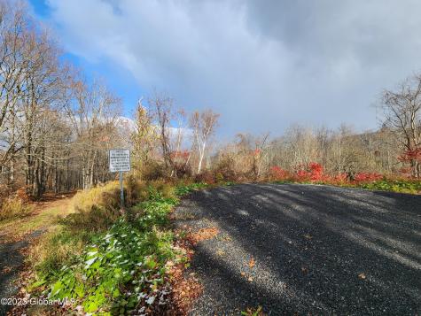 172 Mace Hill Road Middleburgh NY 12122
