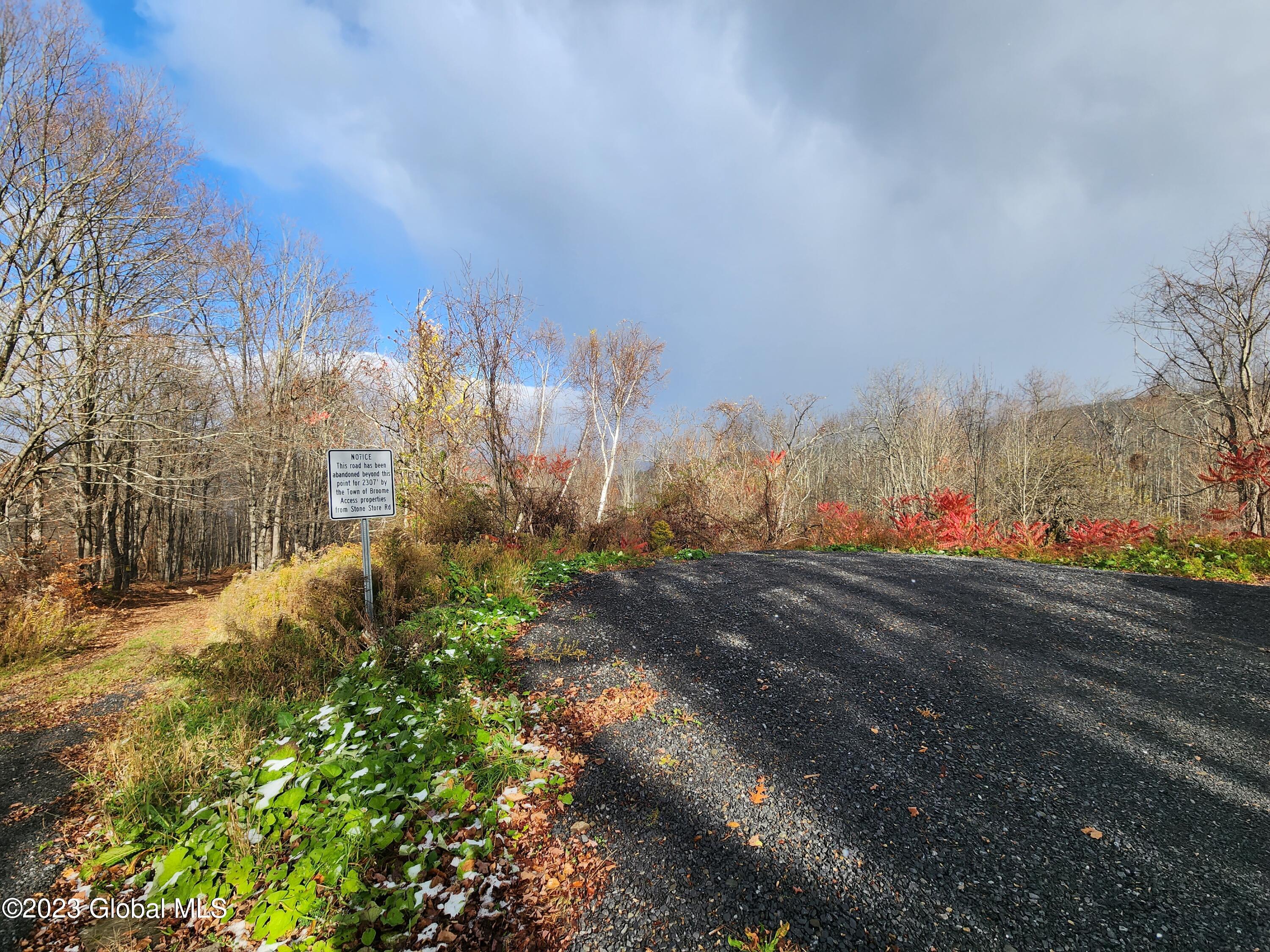 172 Mace Hill Road Middleburgh NY 12122